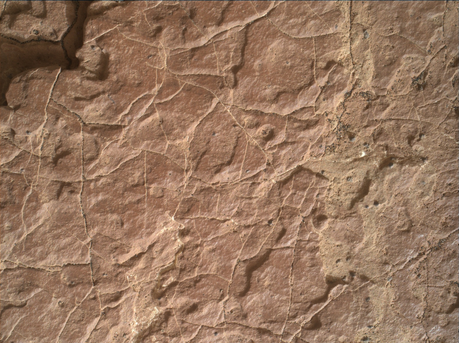 Nasa's Mars rover Curiosity acquired this image using its Mars Hand Lens Imager (MAHLI) on Sol 1635