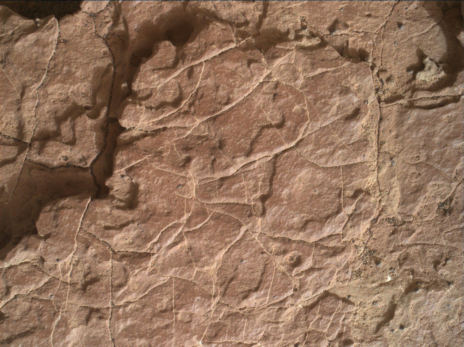 Nasa's Mars rover Curiosity acquired this image using its Mars Hand Lens Imager (MAHLI) on Sol 1635