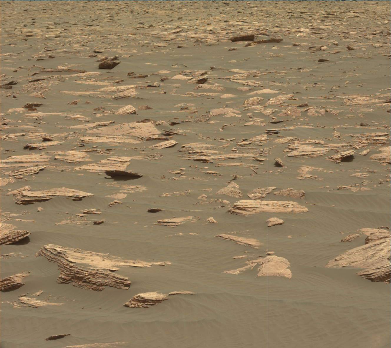 Nasa's Mars rover Curiosity acquired this image using its Mast Camera (Mastcam) on Sol 1636