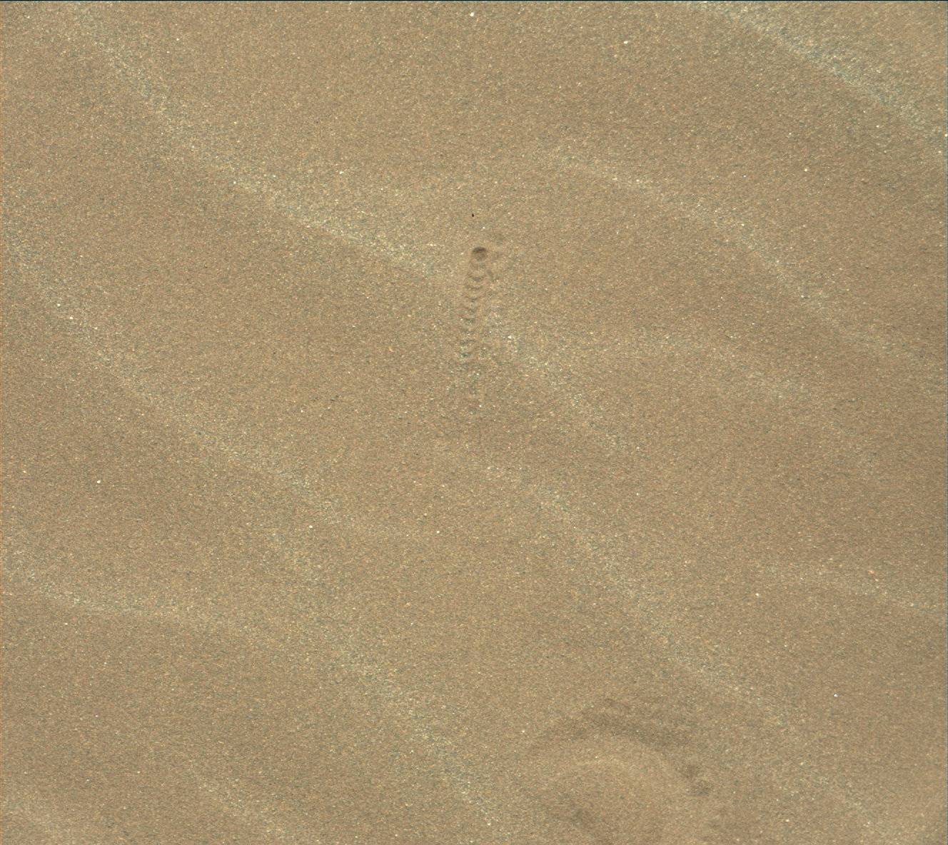 Nasa's Mars rover Curiosity acquired this image using its Mast Camera (Mastcam) on Sol 1638