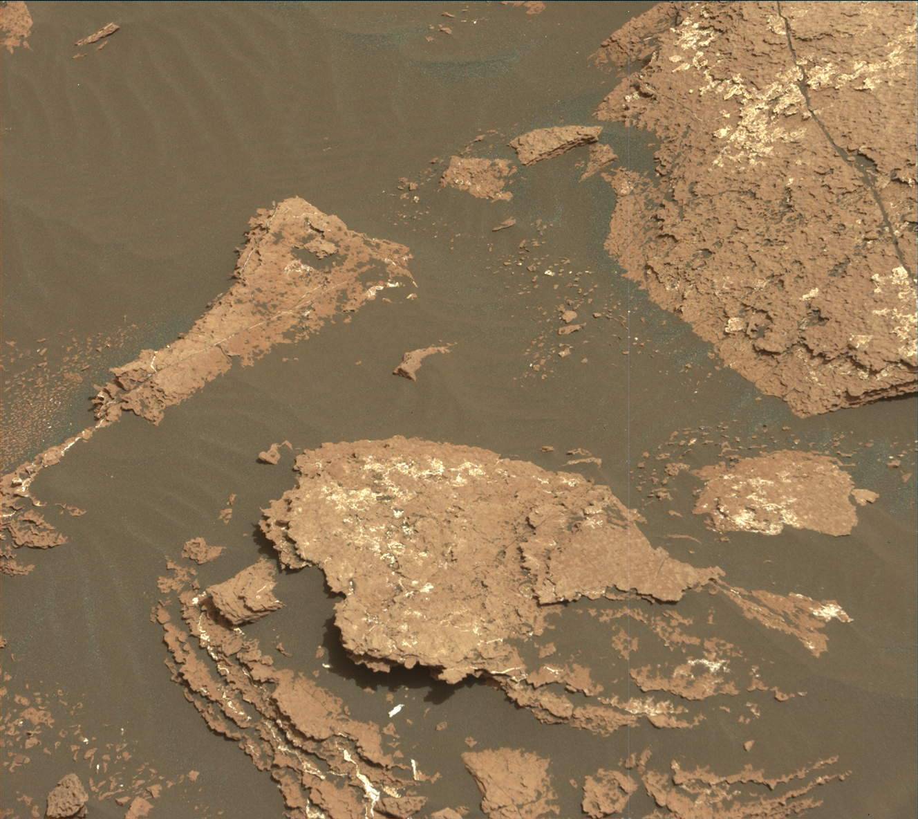Nasa's Mars rover Curiosity acquired this image using its Mast Camera (Mastcam) on Sol 1639