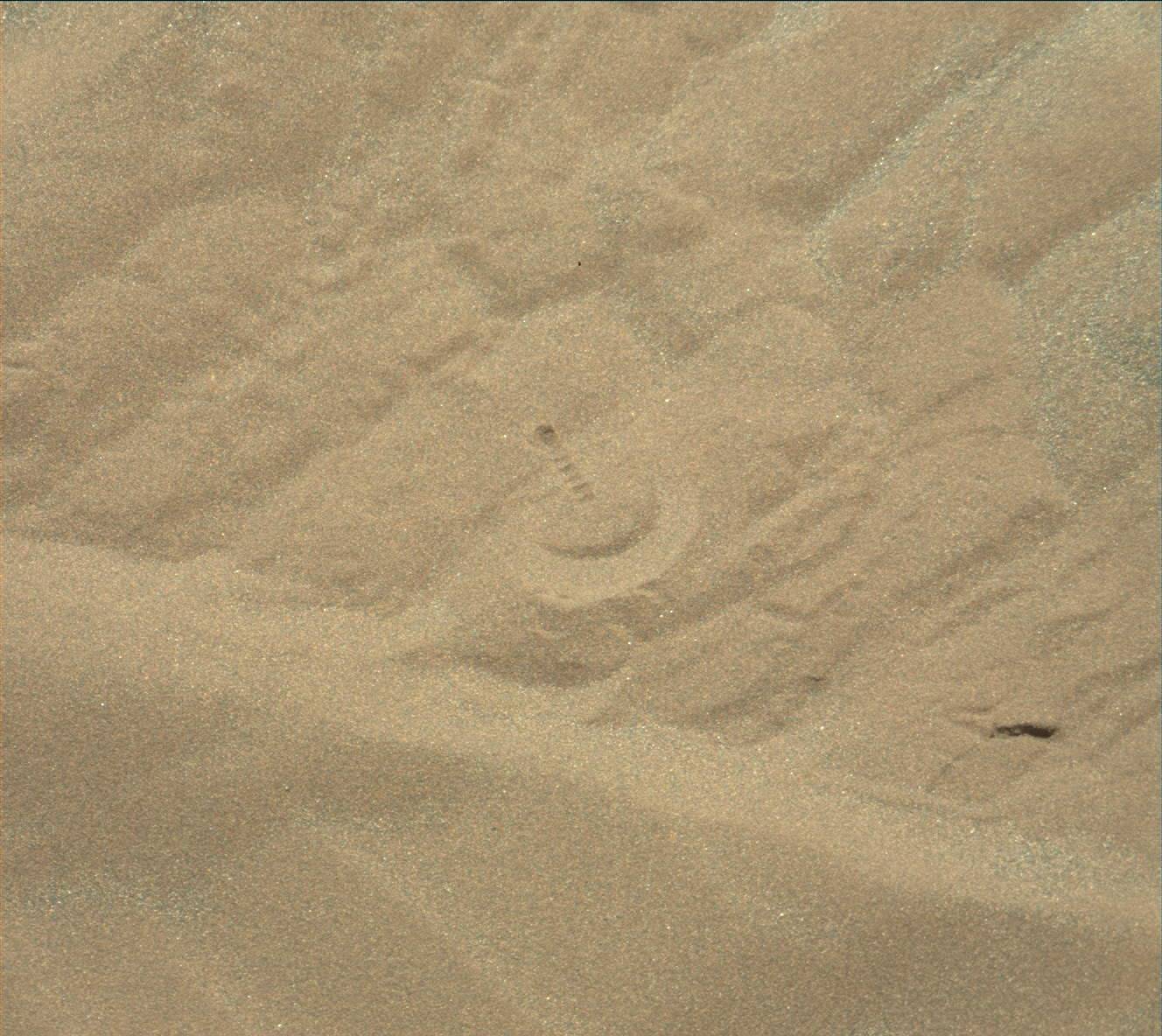 Nasa's Mars rover Curiosity acquired this image using its Mast Camera (Mastcam) on Sol 1639