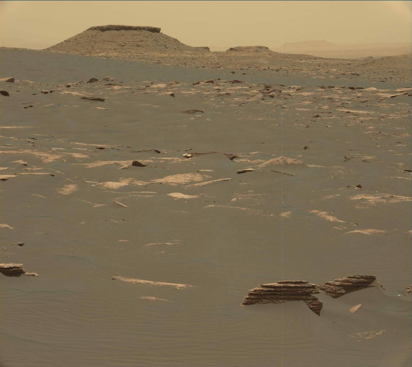 Nasa's Mars rover Curiosity acquired this image using its Mast Camera (Mastcam) on Sol 1642