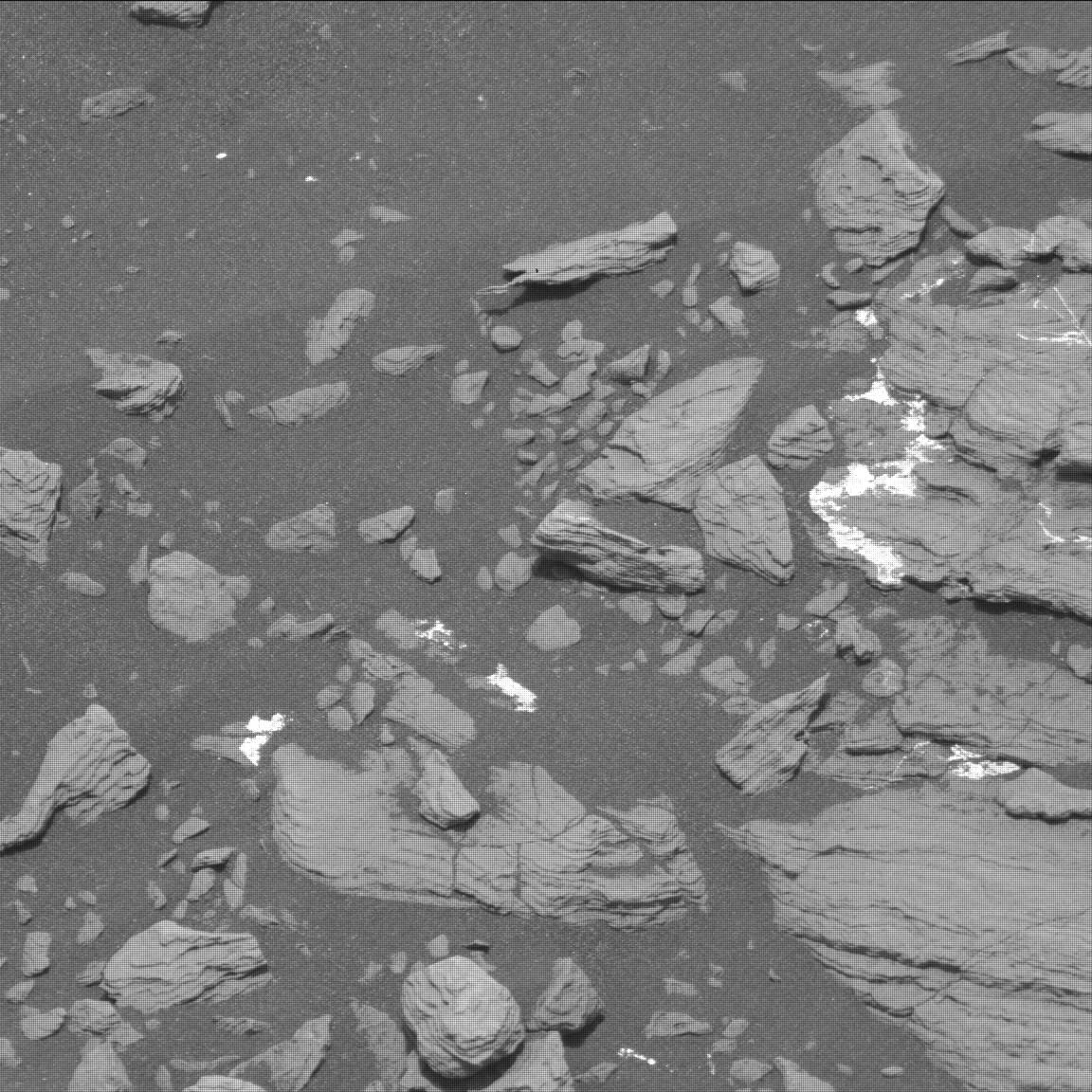 Nasa's Mars rover Curiosity acquired this image using its Mast Camera (Mastcam) on Sol 1642