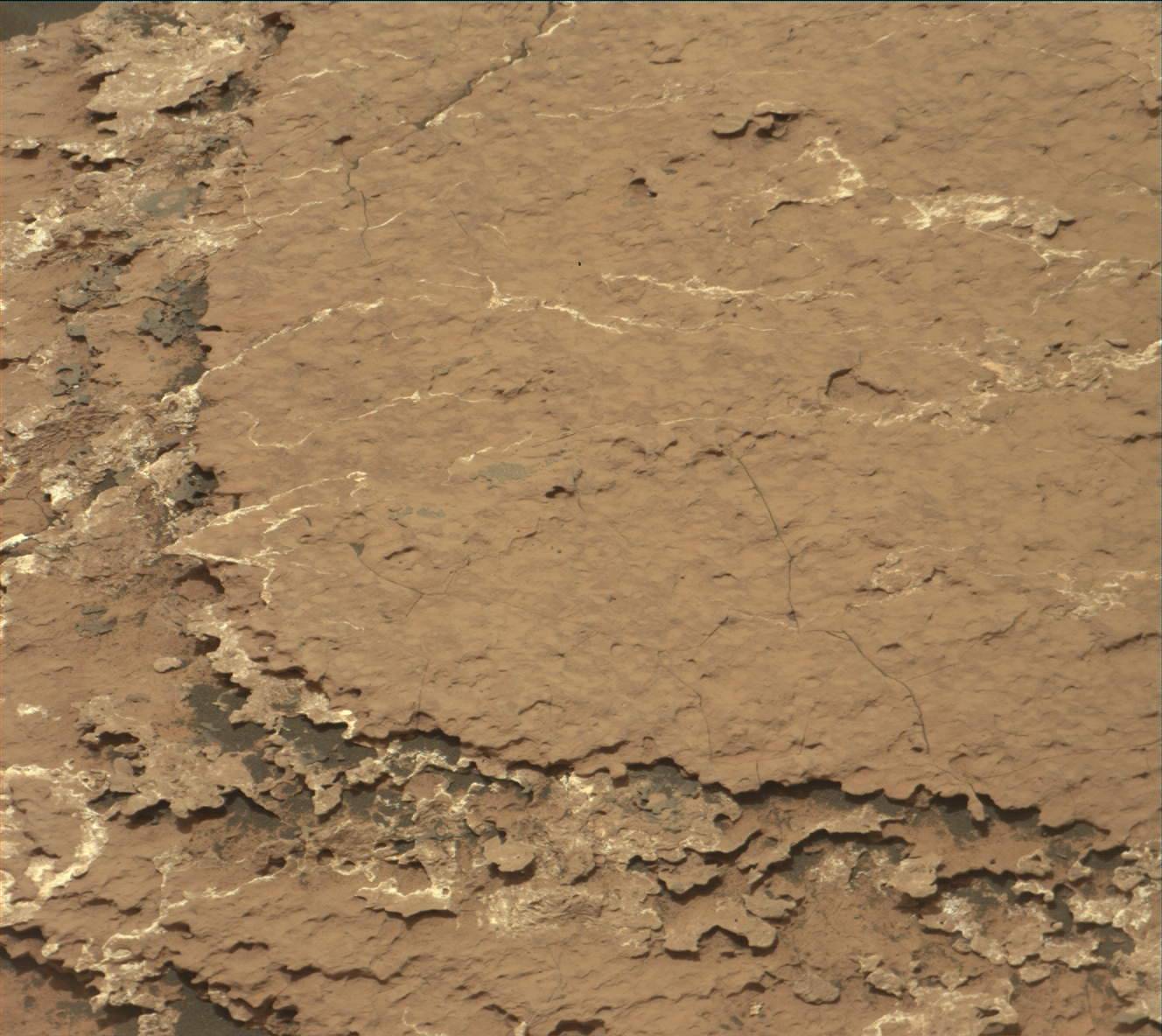 Nasa's Mars rover Curiosity acquired this image using its Mast Camera (Mastcam) on Sol 1646