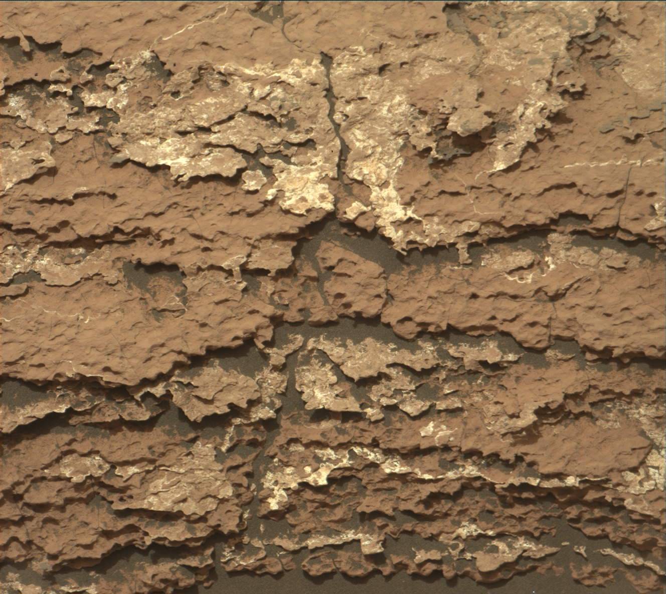 Nasa's Mars rover Curiosity acquired this image using its Mast Camera (Mastcam) on Sol 1646