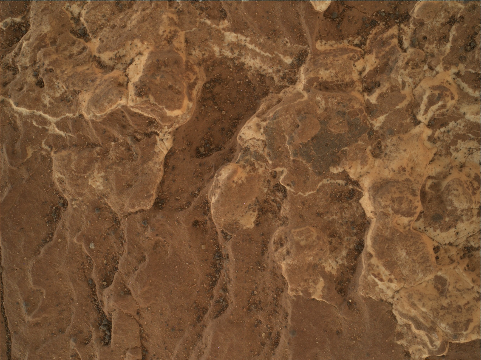 Nasa's Mars rover Curiosity acquired this image using its Mars Hand Lens Imager (MAHLI) on Sol 1647
