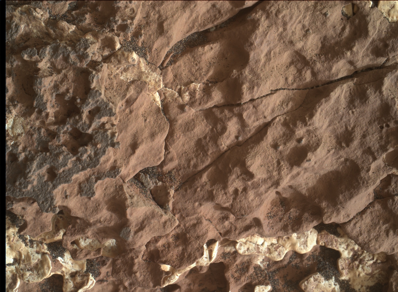 Nasa's Mars rover Curiosity acquired this image using its Mars Hand Lens Imager (MAHLI) on Sol 1661