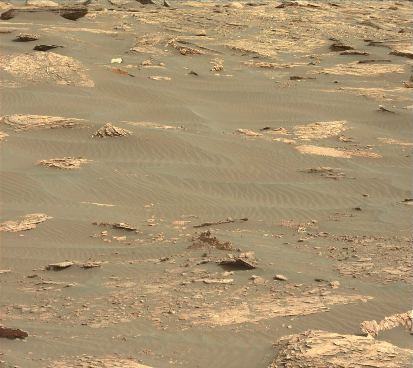 Nasa's Mars rover Curiosity acquired this image using its Mast Camera (Mastcam) on Sol 1662