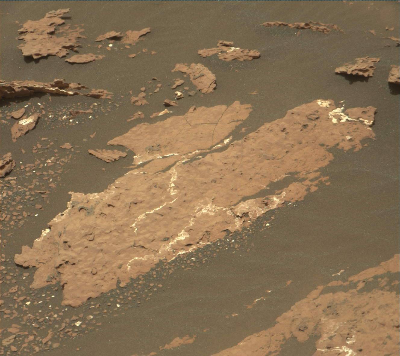 Nasa's Mars rover Curiosity acquired this image using its Mast Camera (Mastcam) on Sol 1664
