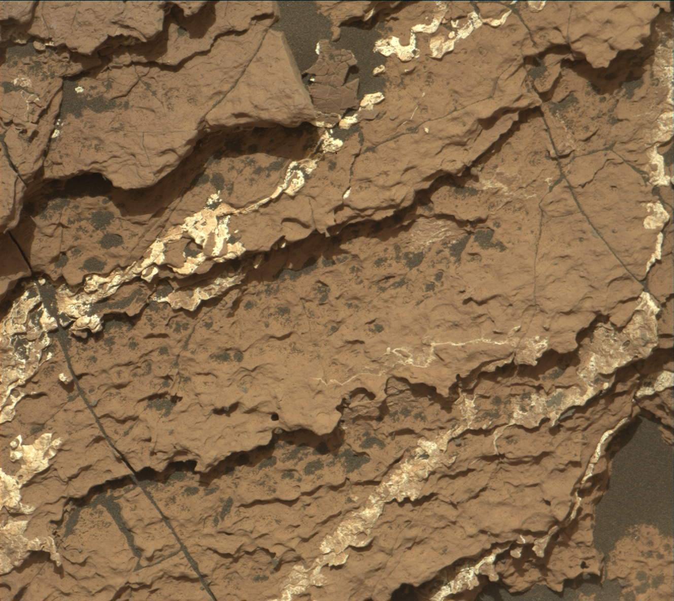 Nasa's Mars rover Curiosity acquired this image using its Mast Camera (Mastcam) on Sol 1668
