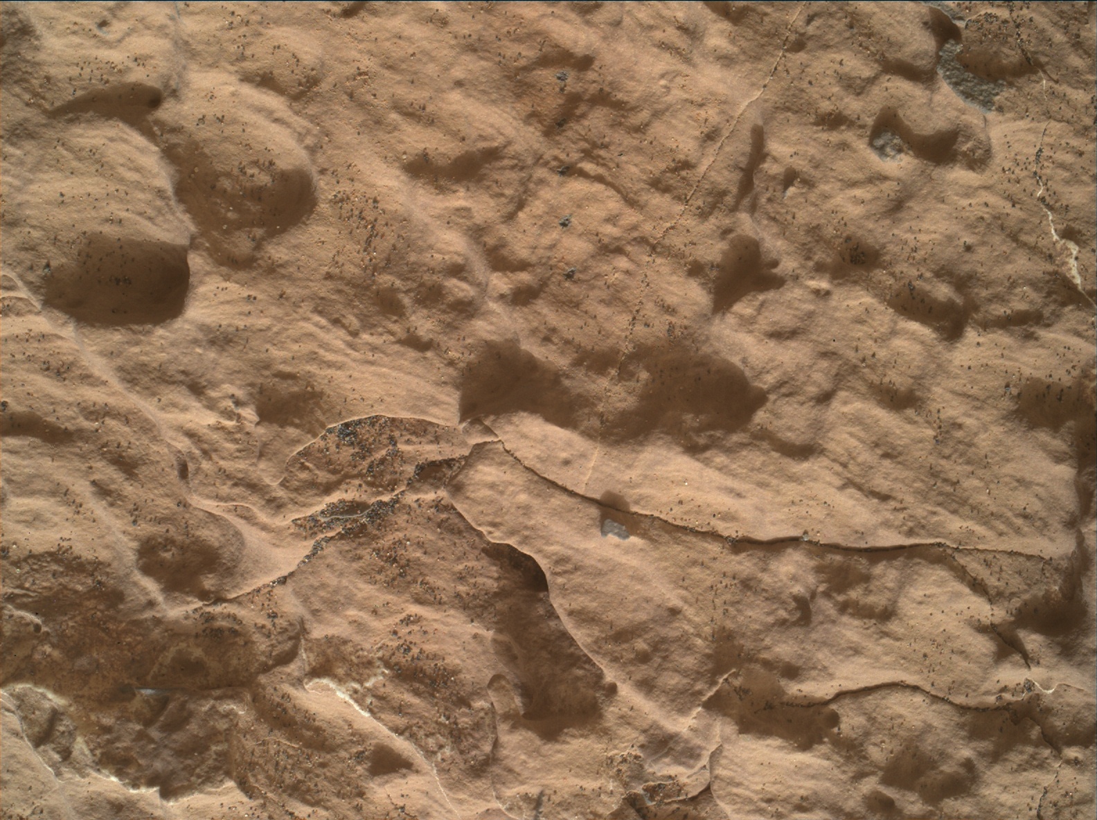 Nasa's Mars rover Curiosity acquired this image using its Mars Hand Lens Imager (MAHLI) on Sol 1668