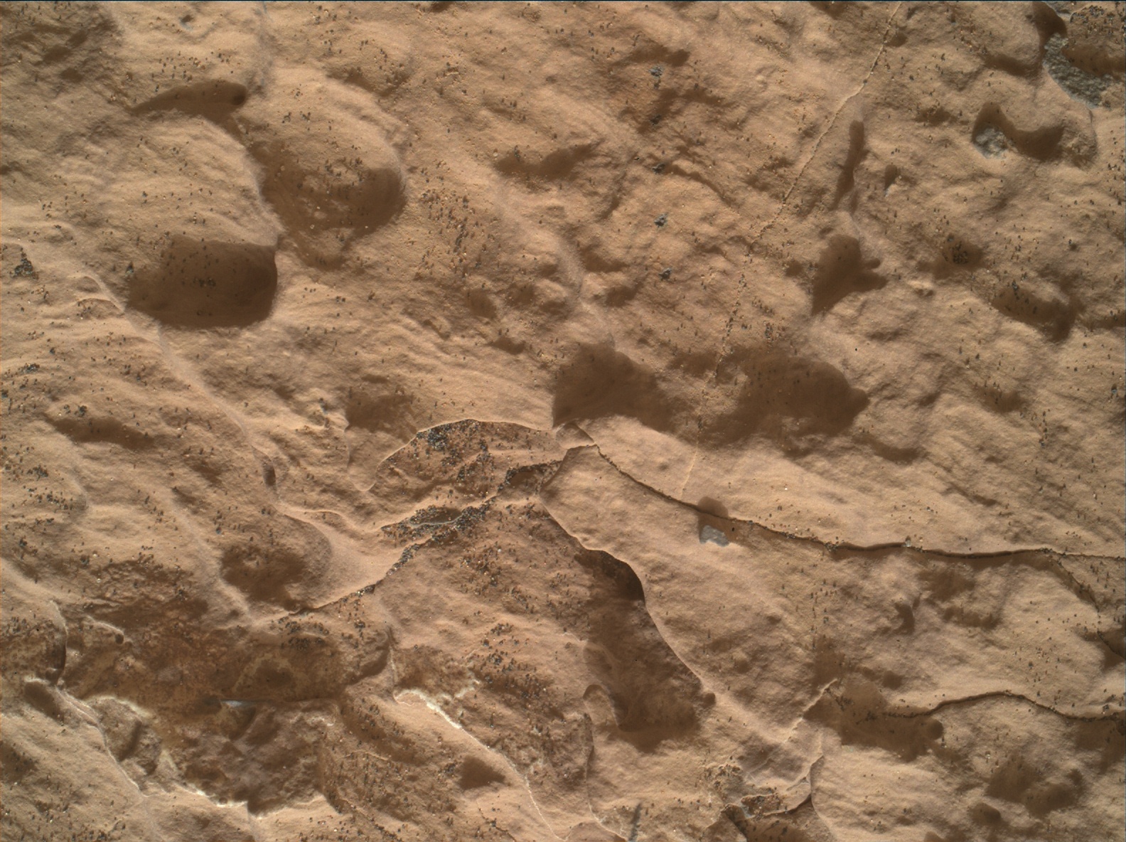 Nasa's Mars rover Curiosity acquired this image using its Mars Hand Lens Imager (MAHLI) on Sol 1668