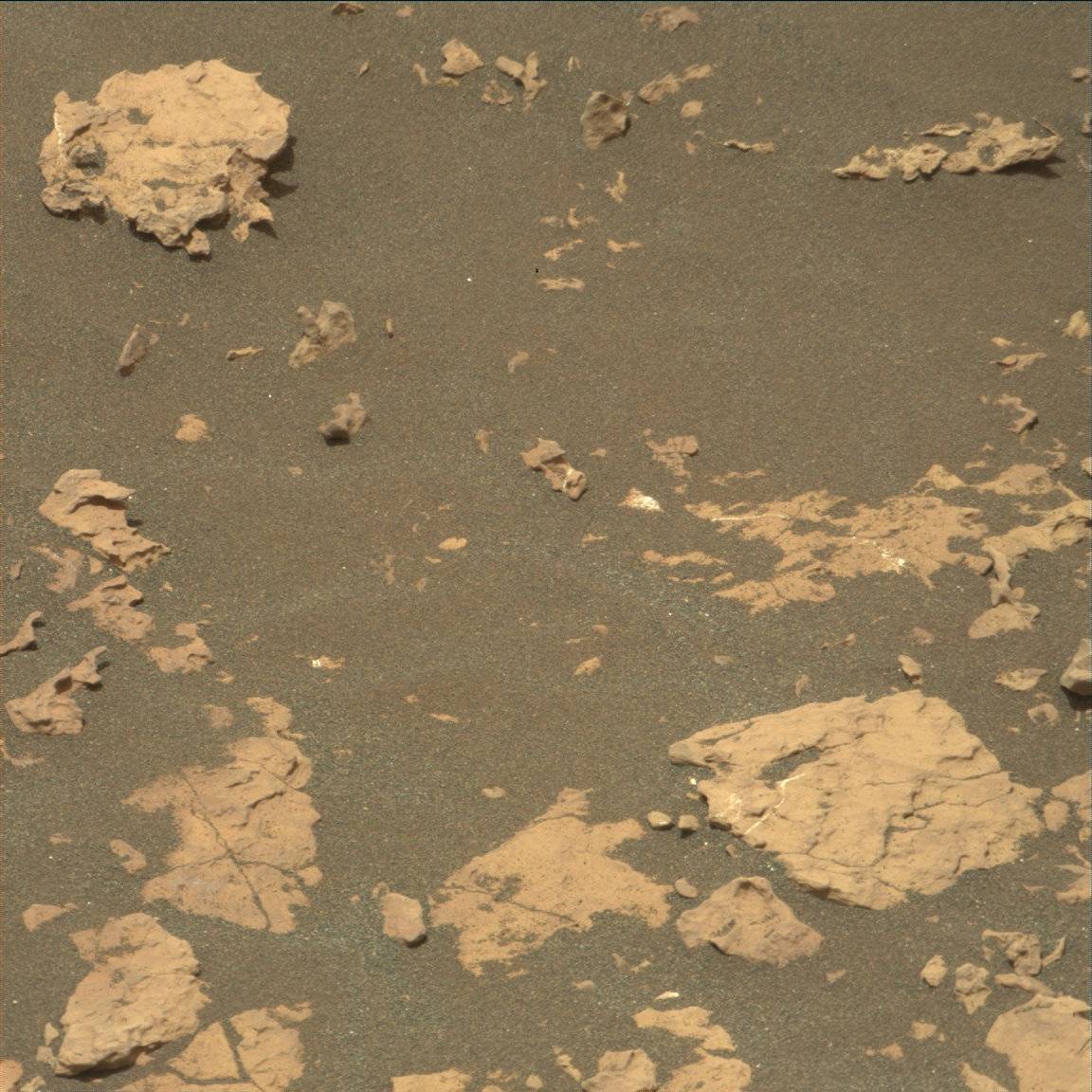 Nasa's Mars rover Curiosity acquired this image using its Mast Camera (Mastcam) on Sol 1669