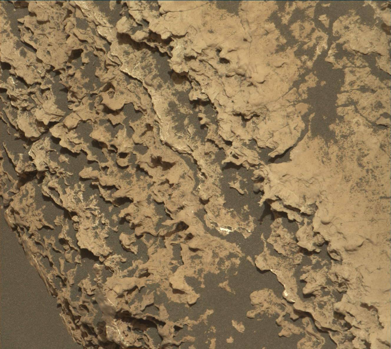 Nasa's Mars rover Curiosity acquired this image using its Mast Camera (Mastcam) on Sol 1675