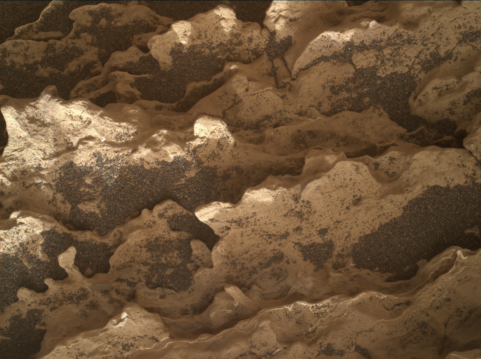 Nasa's Mars rover Curiosity acquired this image using its Mars Hand Lens Imager (MAHLI) on Sol 1675