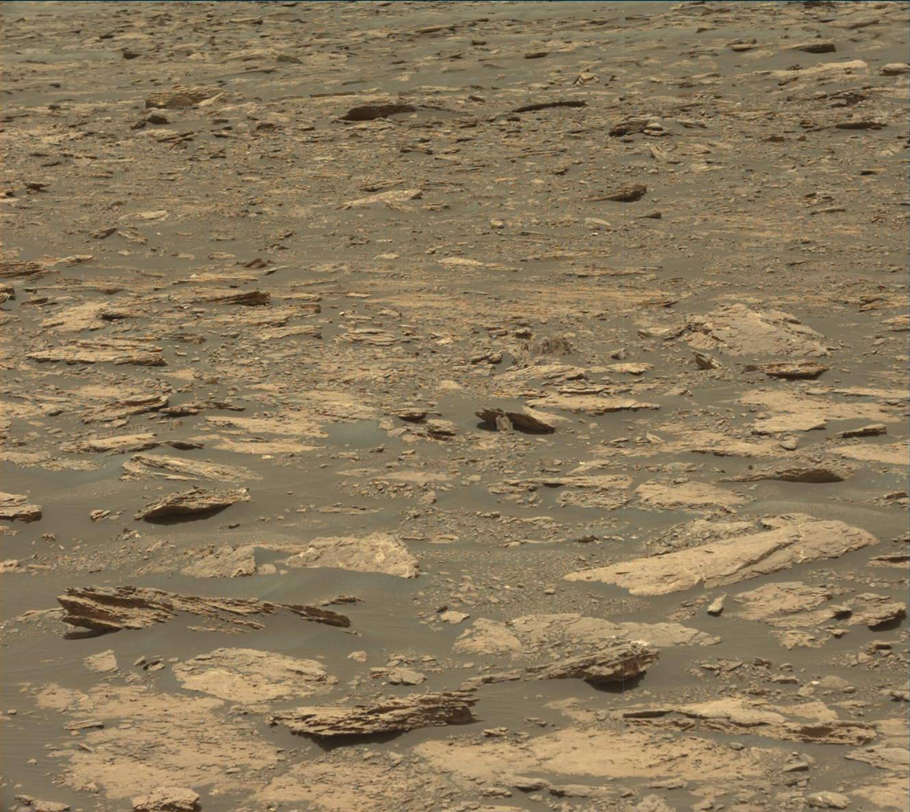 Nasa's Mars rover Curiosity acquired this image using its Mast Camera (Mastcam) on Sol 1676