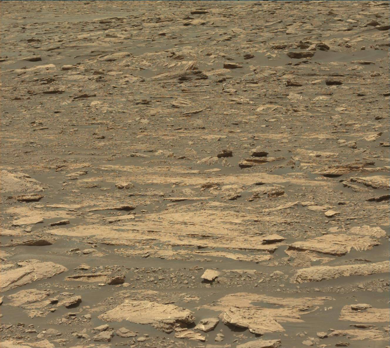 Nasa's Mars rover Curiosity acquired this image using its Mast Camera (Mastcam) on Sol 1676