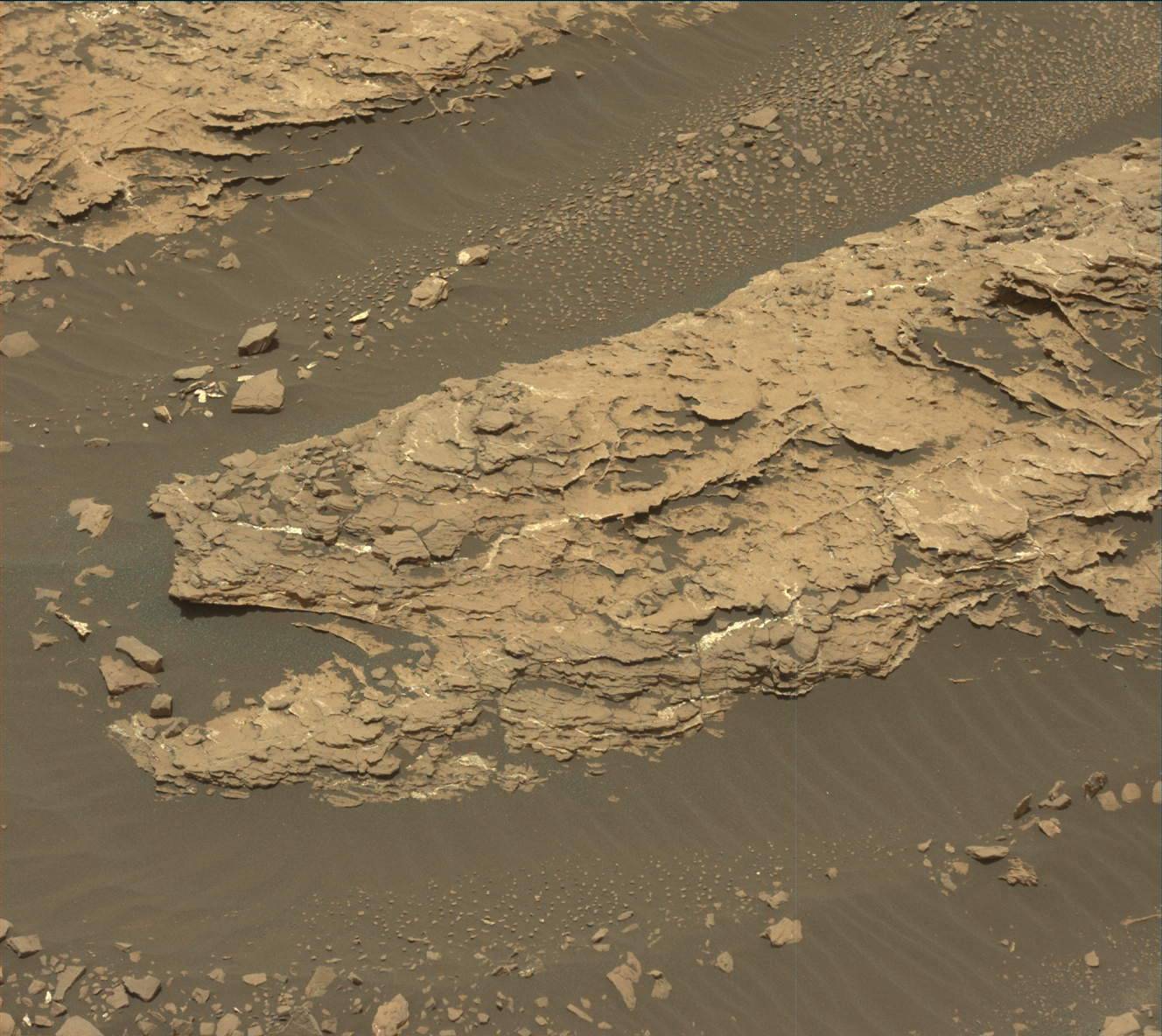 Nasa's Mars rover Curiosity acquired this image using its Mast Camera (Mastcam) on Sol 1677