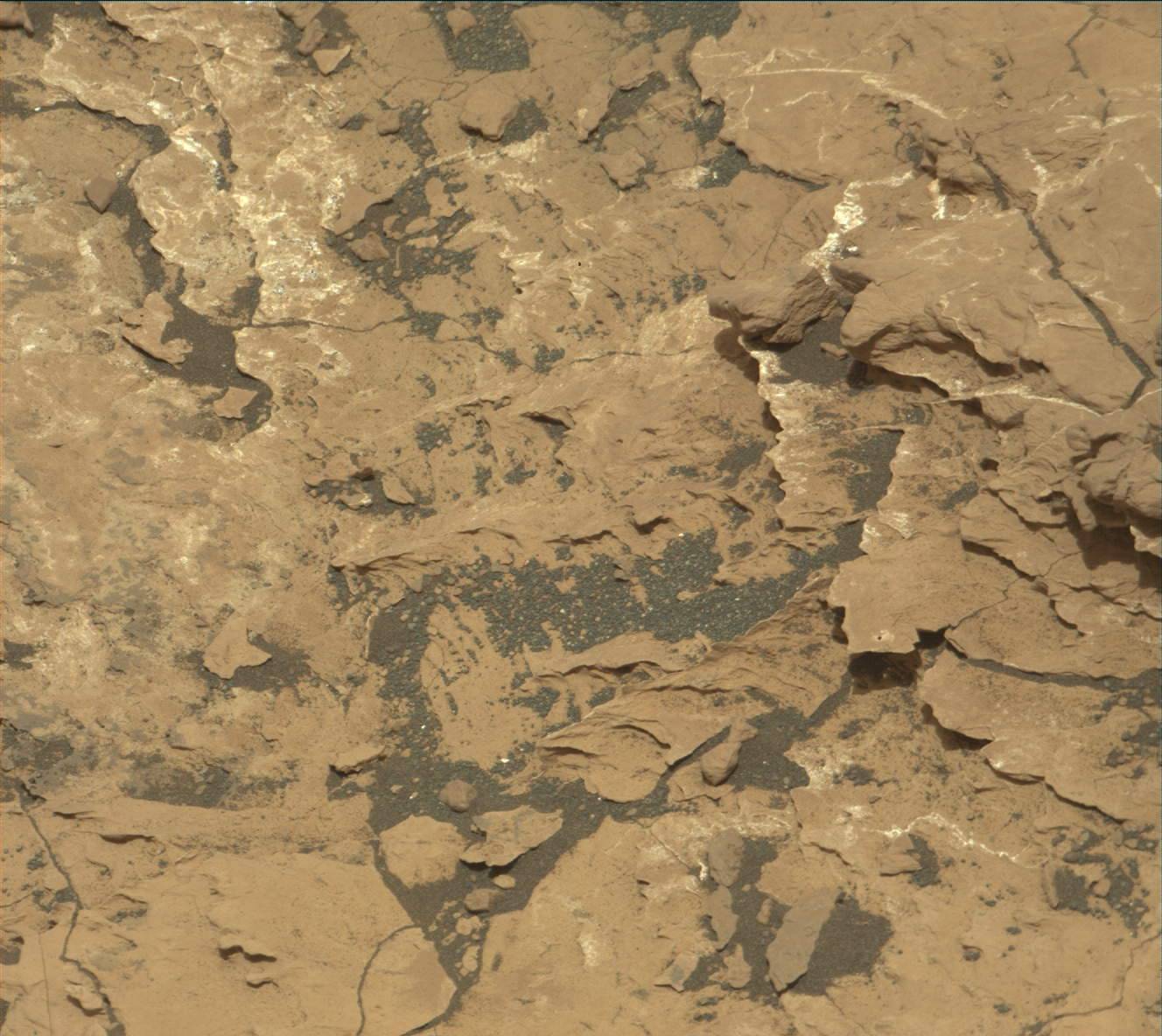 Nasa's Mars rover Curiosity acquired this image using its Mast Camera (Mastcam) on Sol 1677