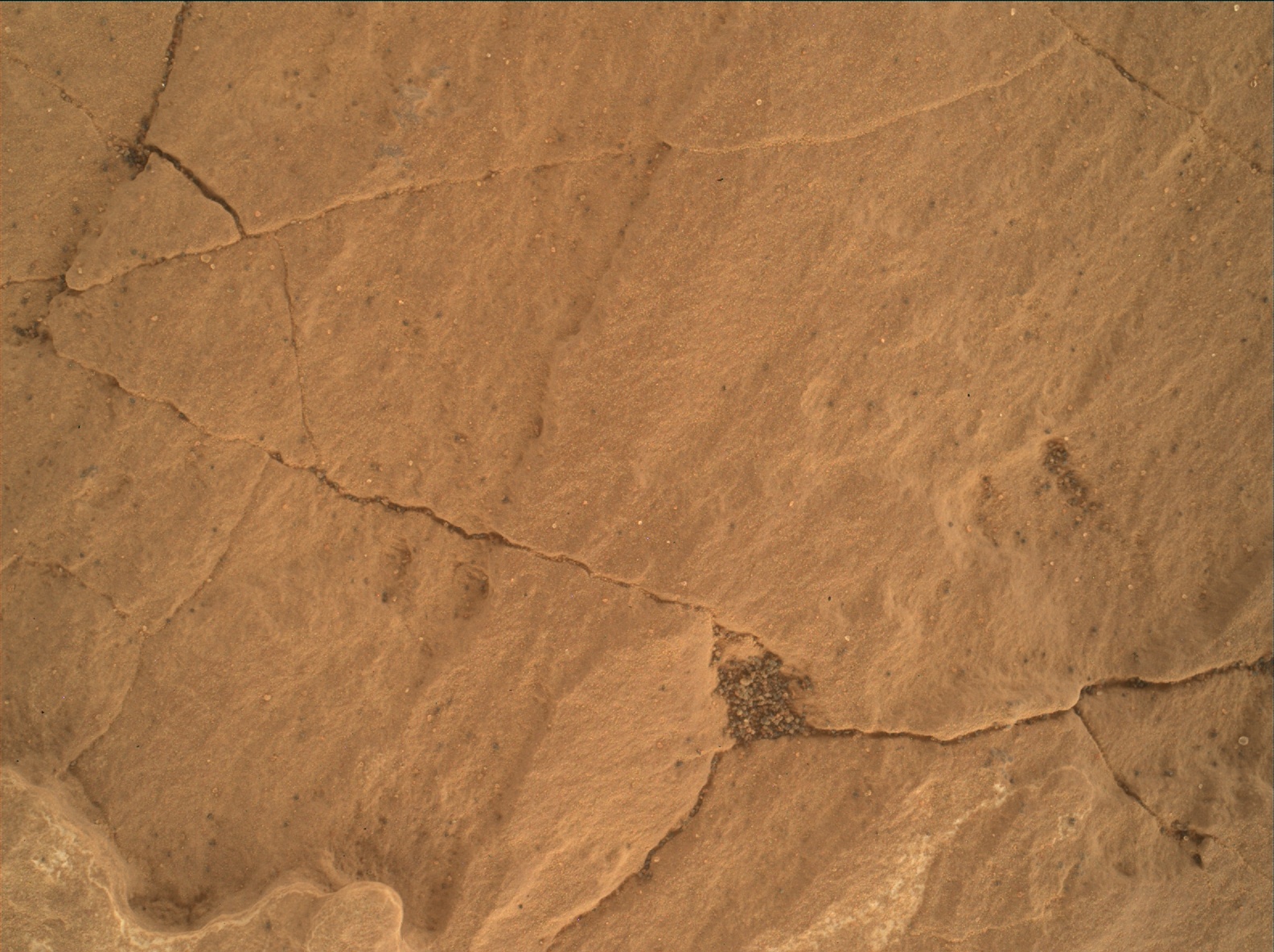 Nasa's Mars rover Curiosity acquired this image using its Mars Hand Lens Imager (MAHLI) on Sol 1677