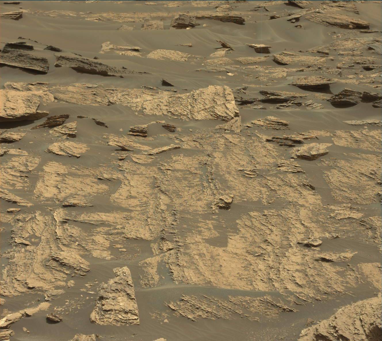 Nasa's Mars rover Curiosity acquired this image using its Mast Camera (Mastcam) on Sol 1684