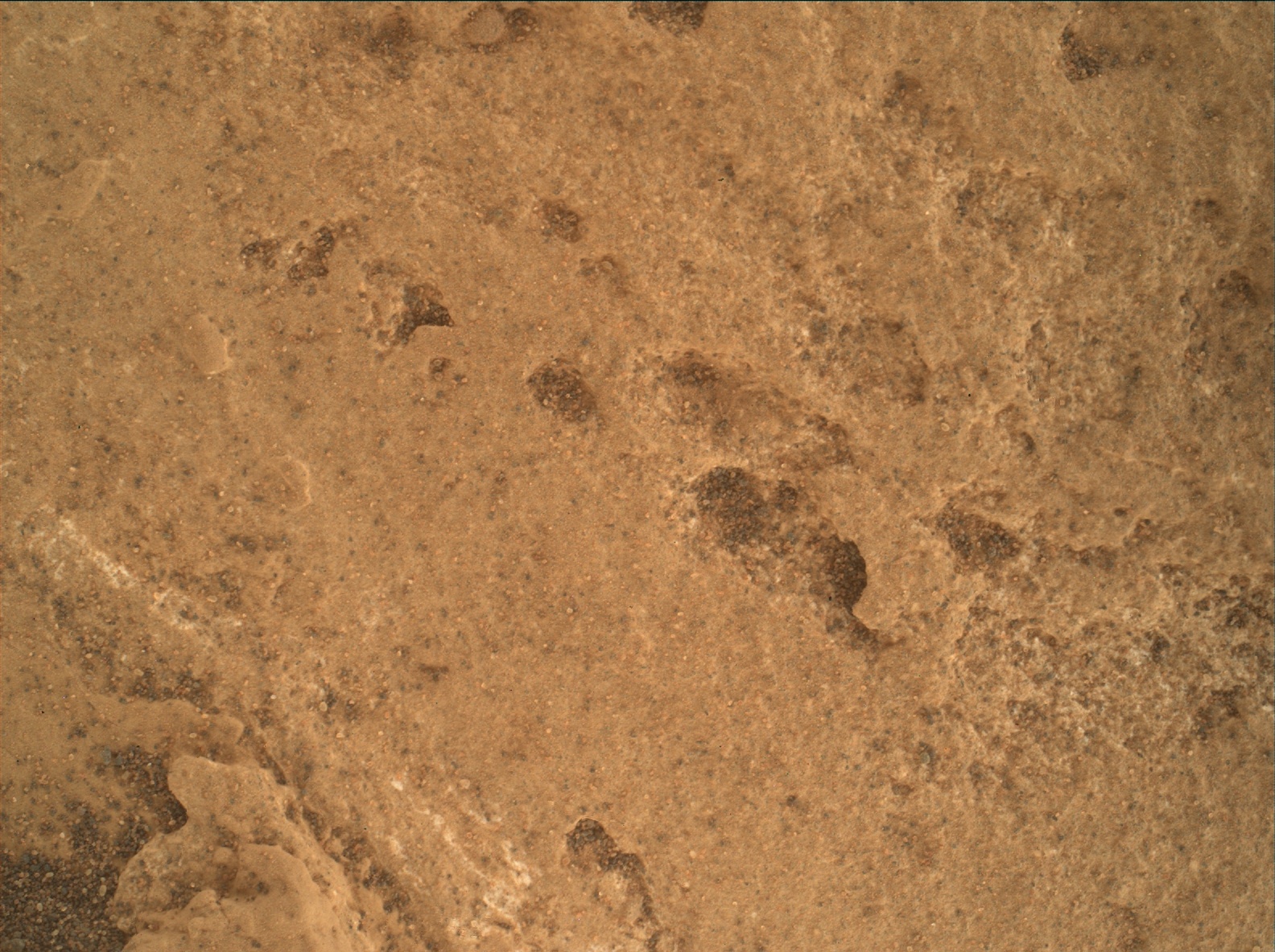Nasa's Mars rover Curiosity acquired this image using its Mars Hand Lens Imager (MAHLI) on Sol 1685