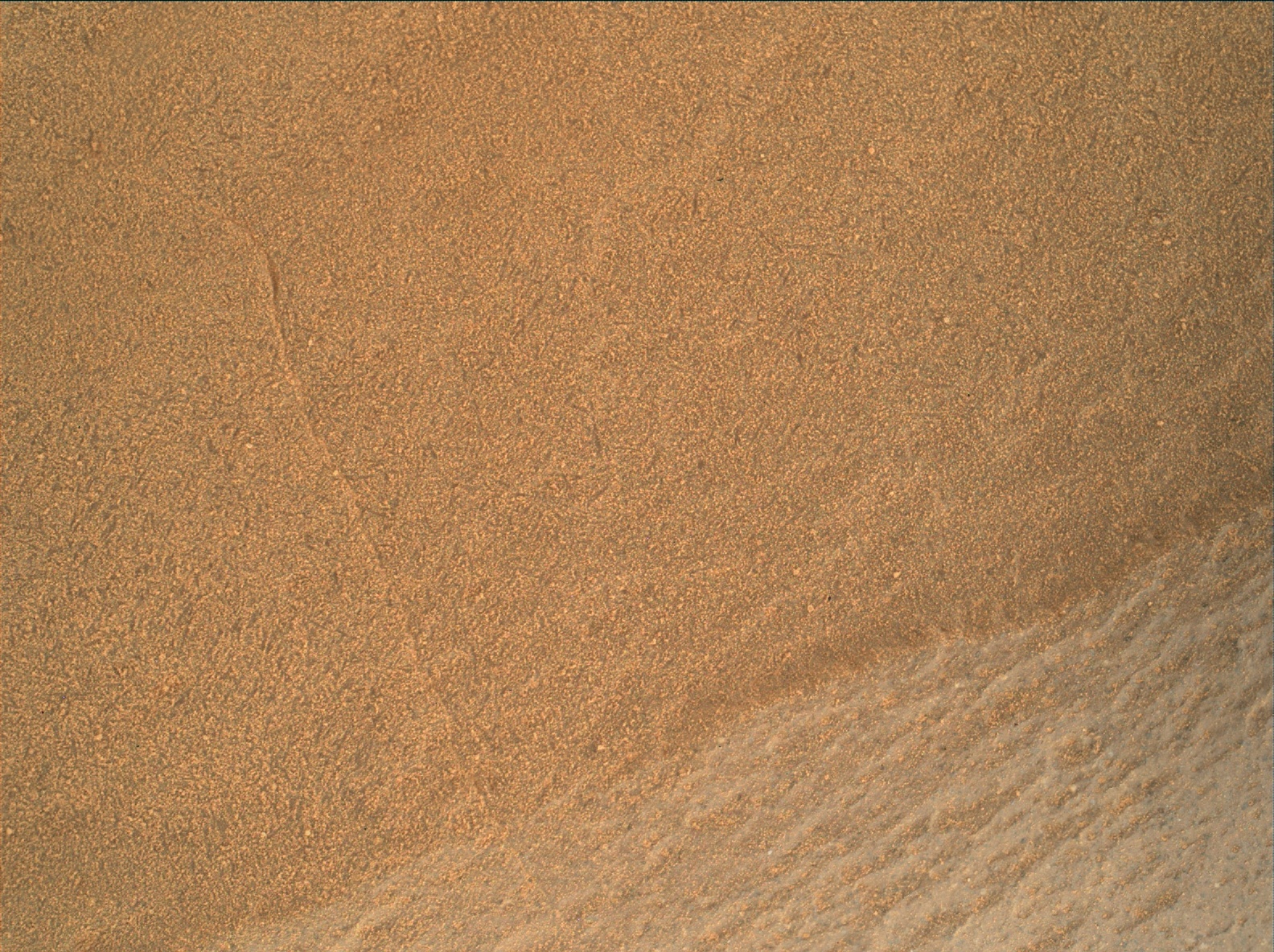 Nasa's Mars rover Curiosity acquired this image using its Mars Hand Lens Imager (MAHLI) on Sol 1686