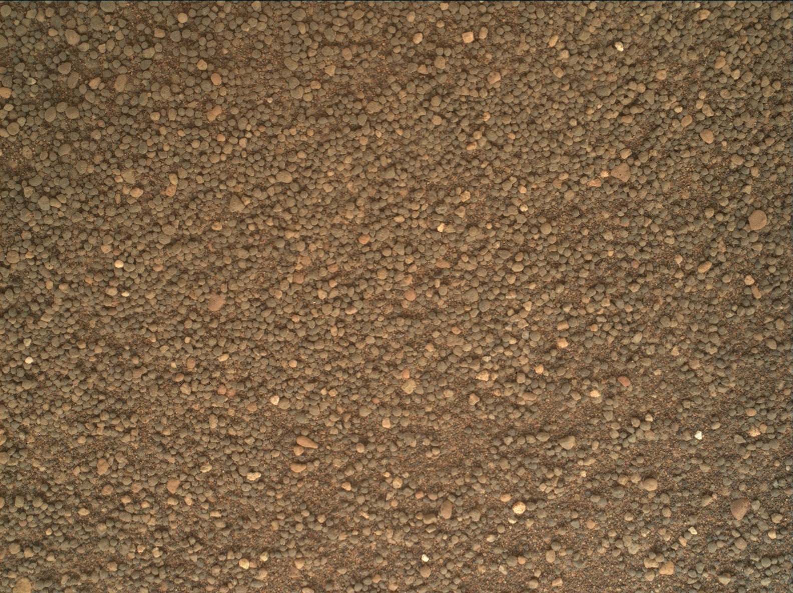 Nasa's Mars rover Curiosity acquired this image using its Mars Hand Lens Imager (MAHLI) on Sol 1689