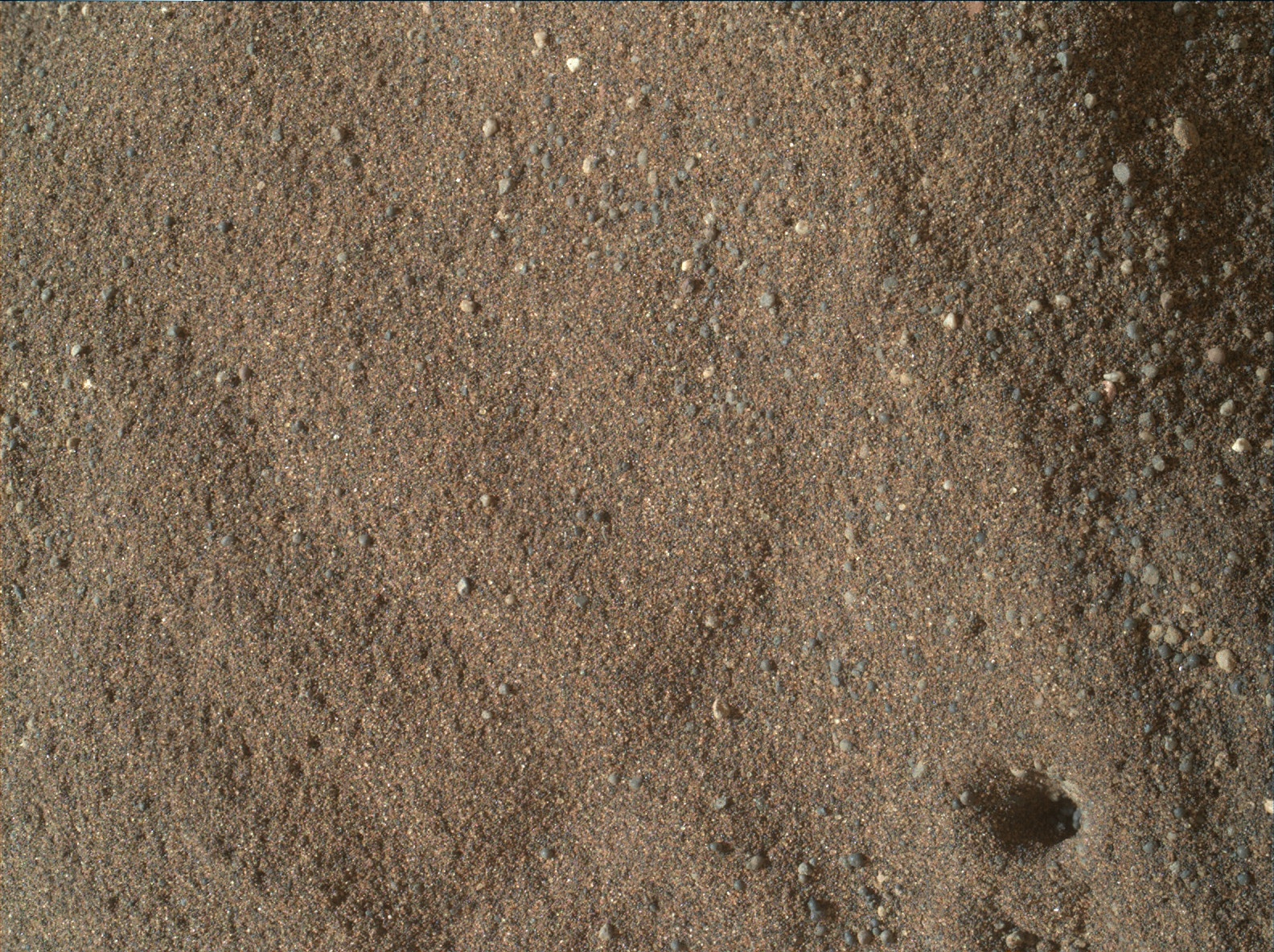 Nasa's Mars rover Curiosity acquired this image using its Mars Hand Lens Imager (MAHLI) on Sol 1689