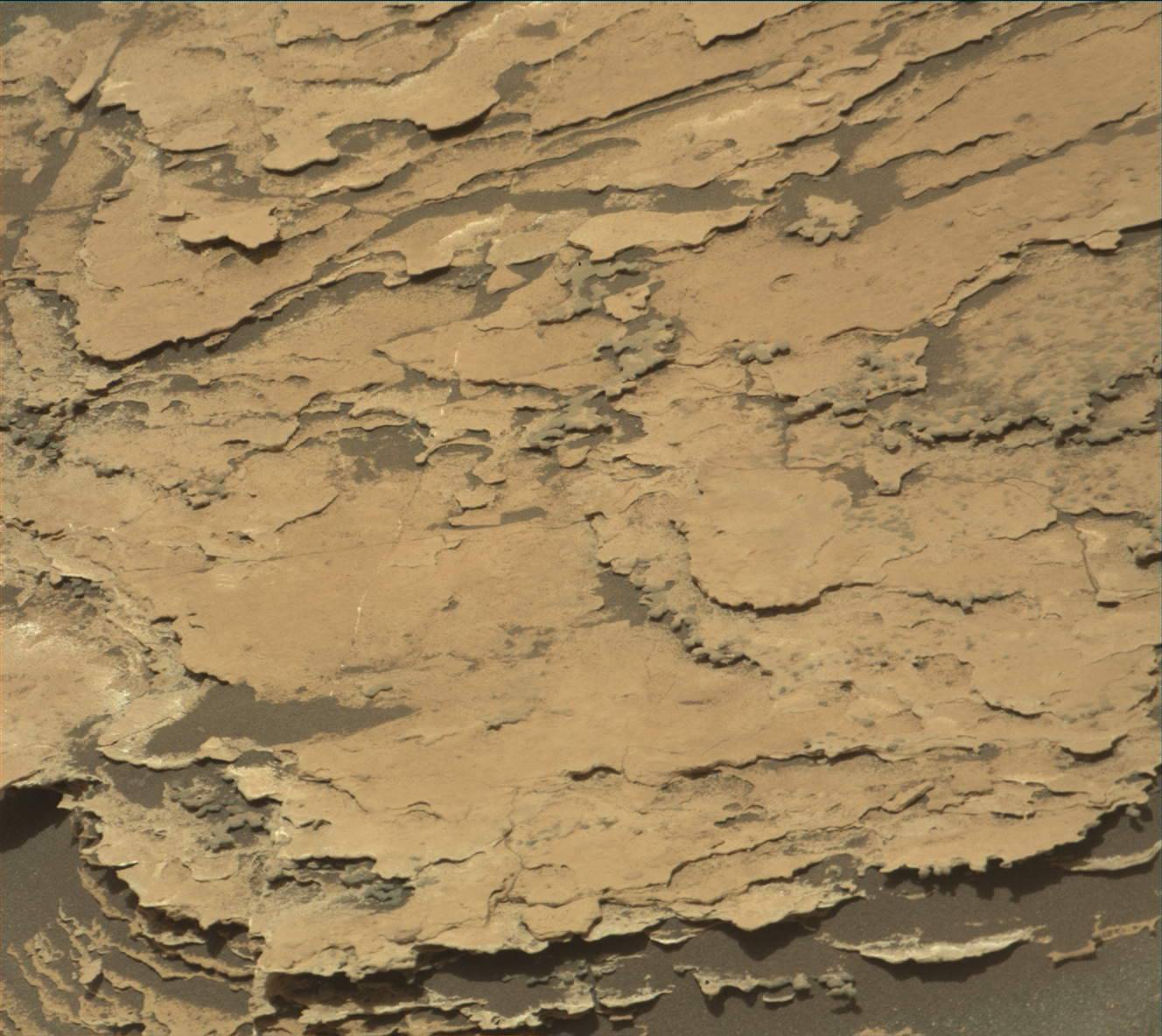Nasa's Mars rover Curiosity acquired this image using its Mast Camera (Mastcam) on Sol 1691