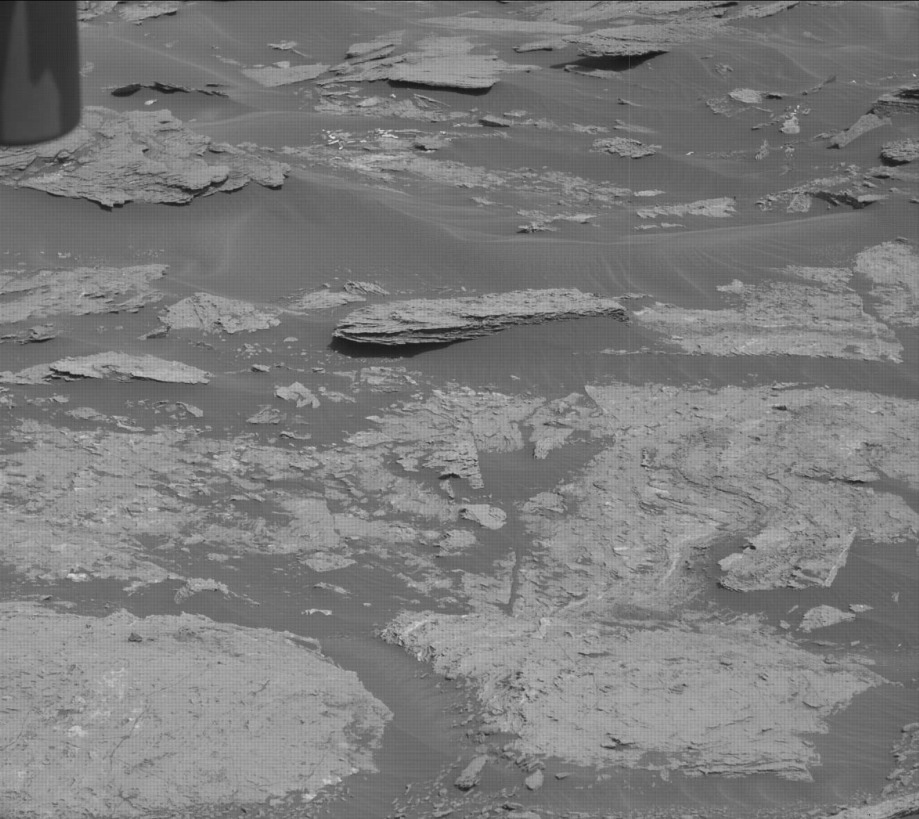 Nasa's Mars rover Curiosity acquired this image using its Mast Camera (Mastcam) on Sol 1695