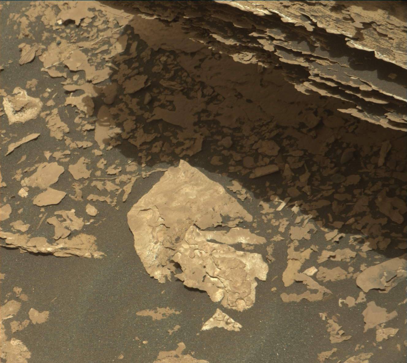 Nasa's Mars rover Curiosity acquired this image using its Mast Camera (Mastcam) on Sol 1700