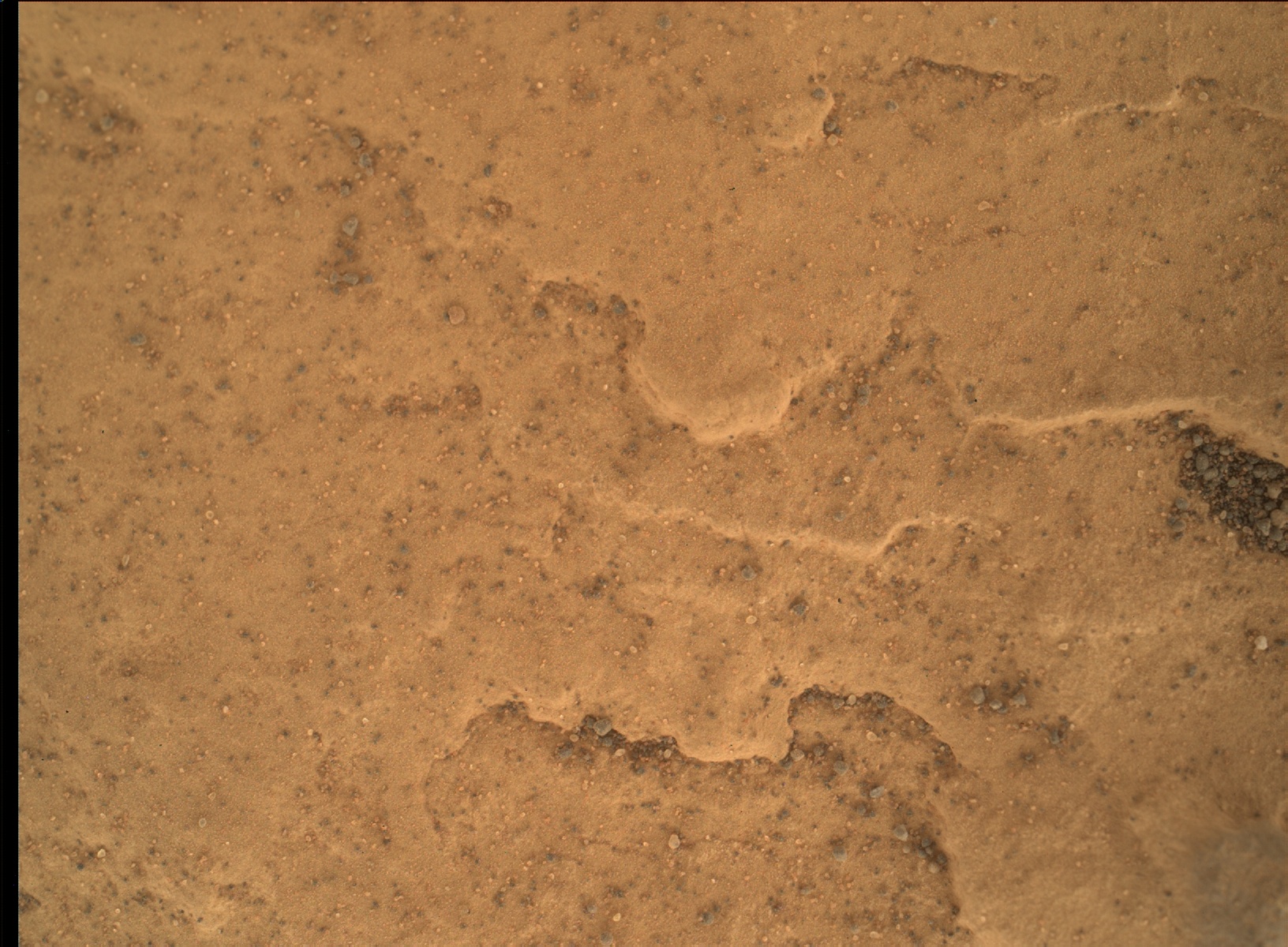 Nasa's Mars rover Curiosity acquired this image using its Mars Hand Lens Imager (MAHLI) on Sol 1700