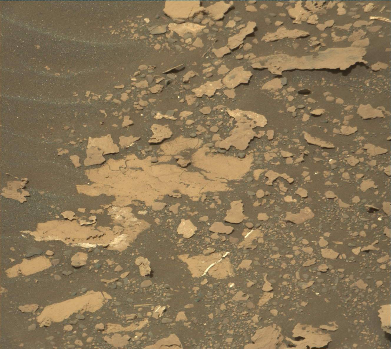 Nasa's Mars rover Curiosity acquired this image using its Mast Camera (Mastcam) on Sol 1702