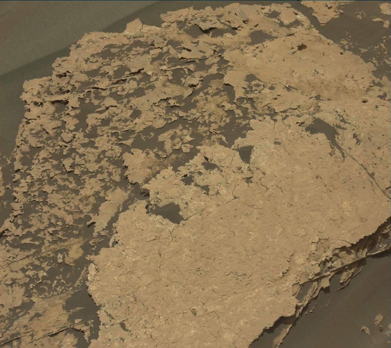 Nasa's Mars rover Curiosity acquired this image using its Mast Camera (Mastcam) on Sol 1703