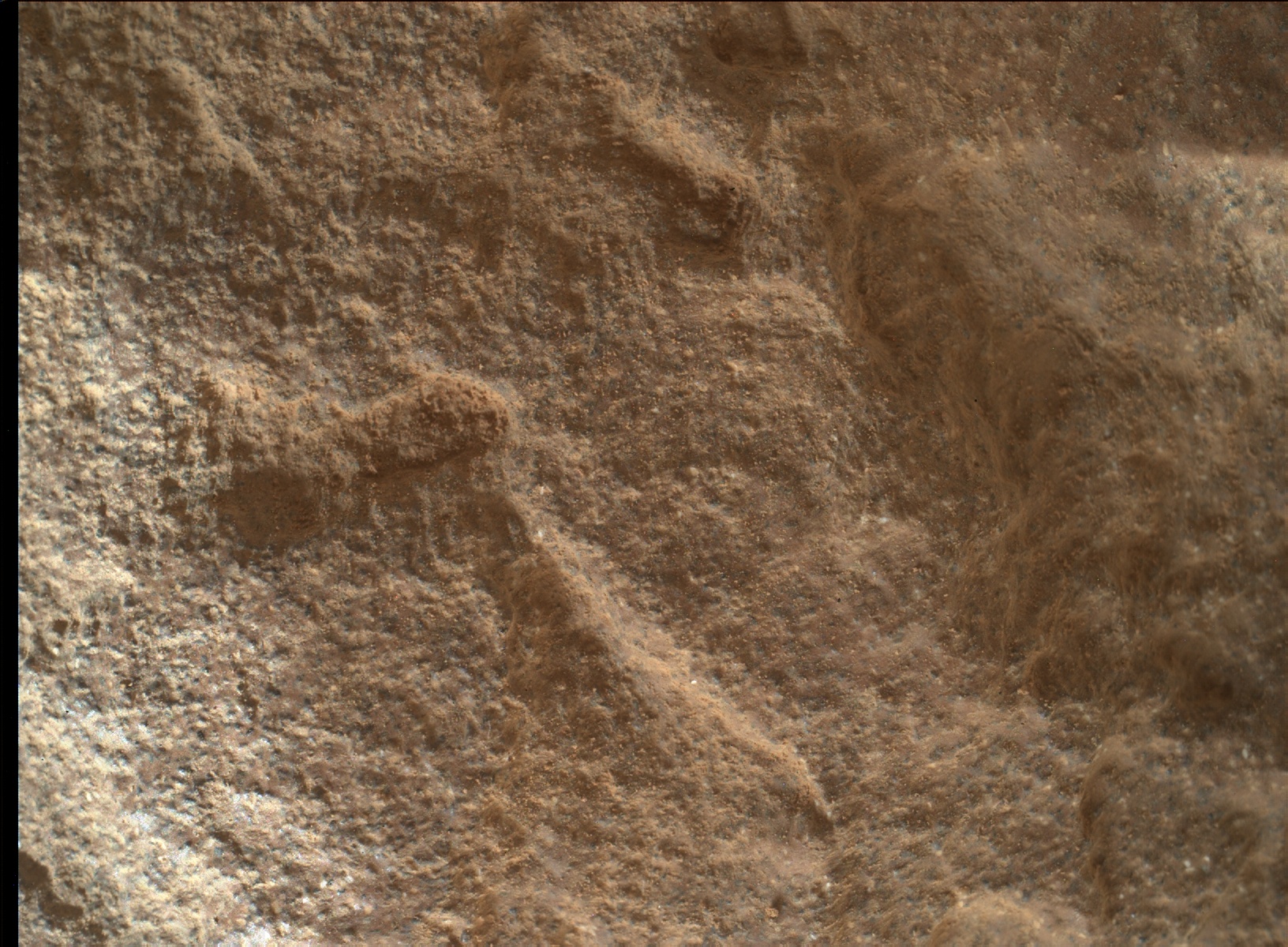 Nasa's Mars rover Curiosity acquired this image using its Mars Hand Lens Imager (MAHLI) on Sol 1710