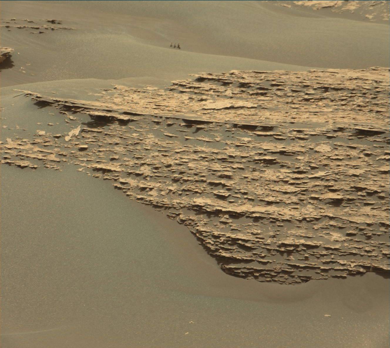 Nasa's Mars rover Curiosity acquired this image using its Mast Camera (Mastcam) on Sol 1711