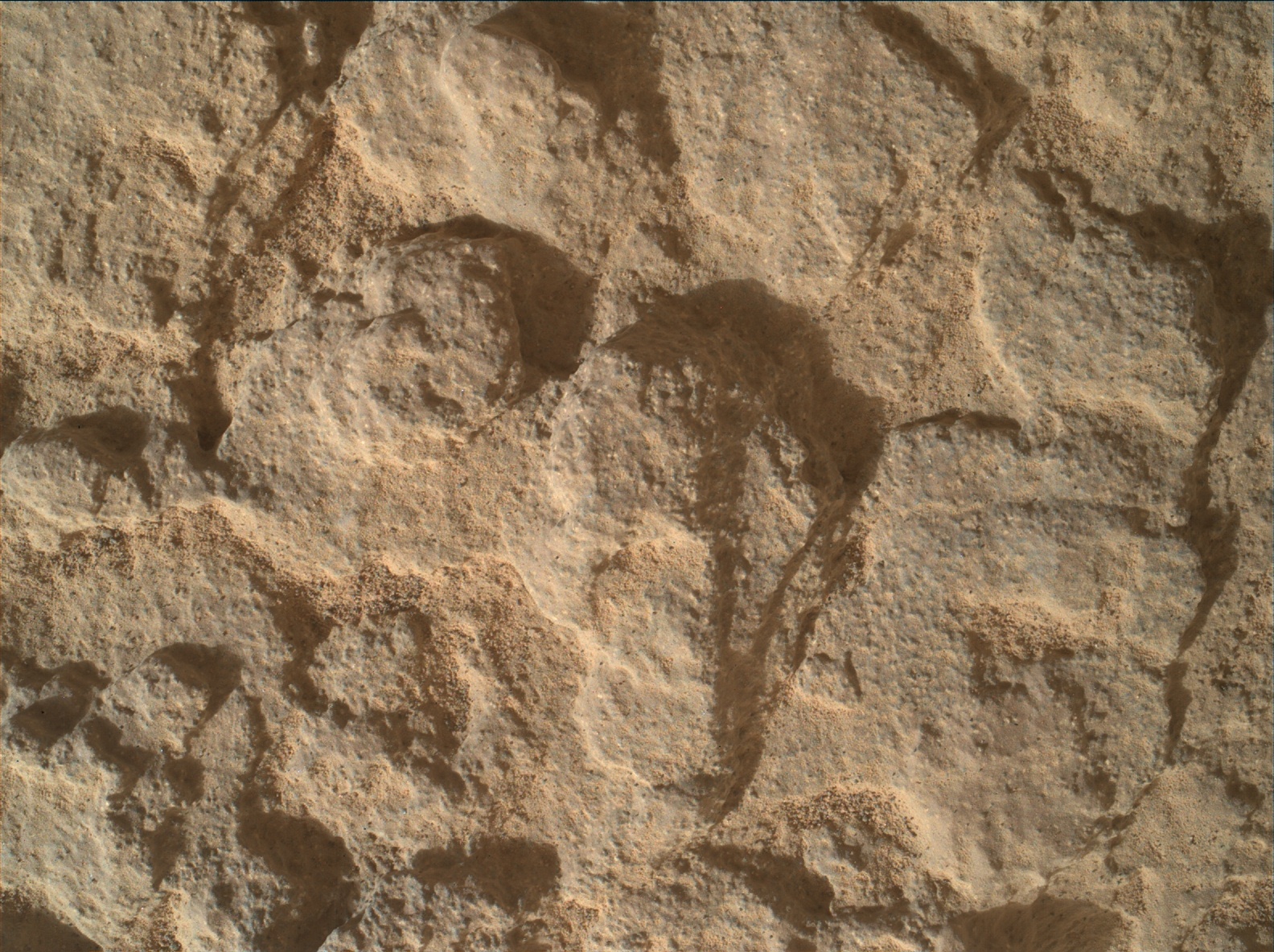 Nasa's Mars rover Curiosity acquired this image using its Mars Hand Lens Imager (MAHLI) on Sol 1711
