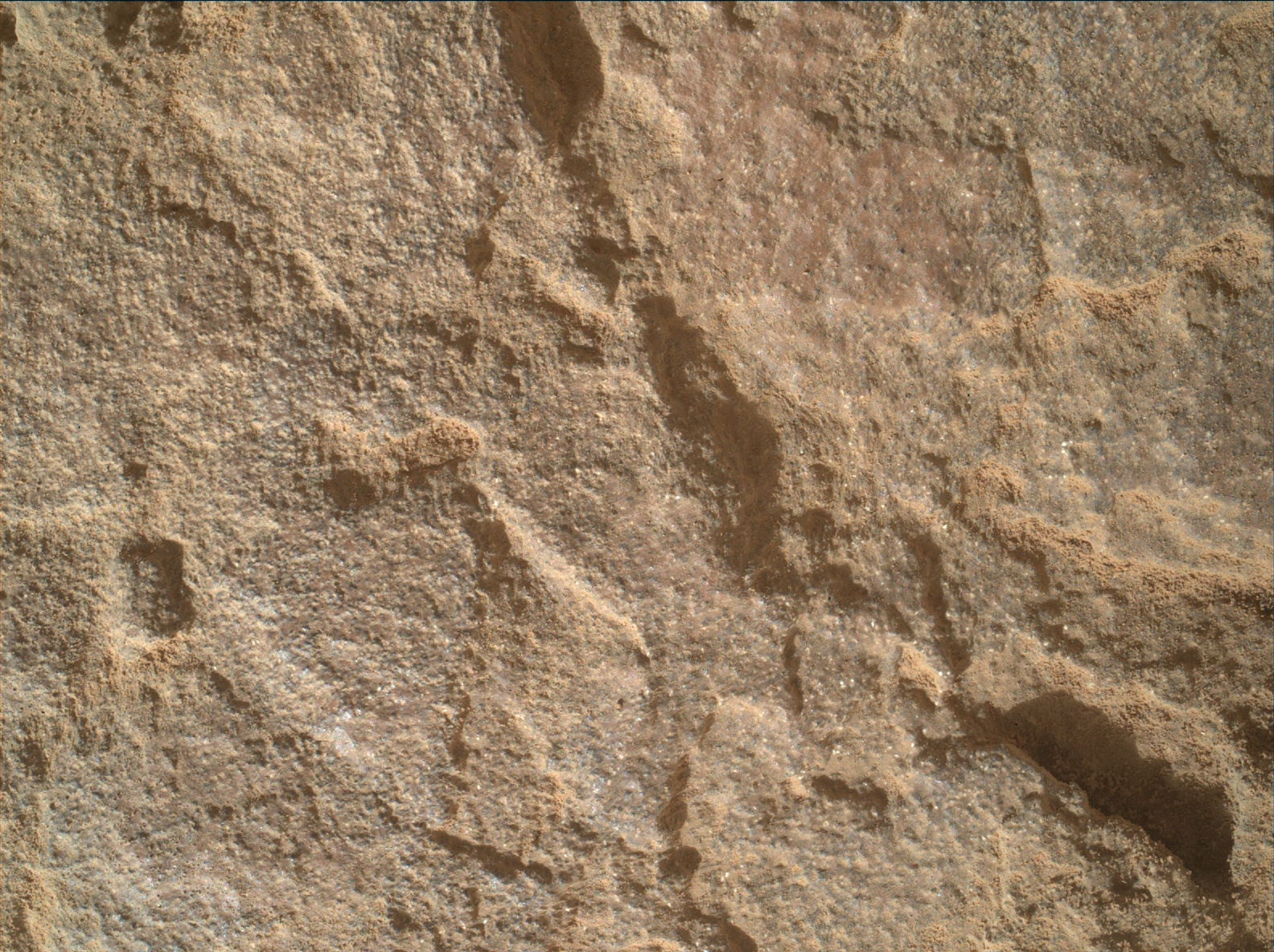 Nasa's Mars rover Curiosity acquired this image using its Mars Hand Lens Imager (MAHLI) on Sol 1711