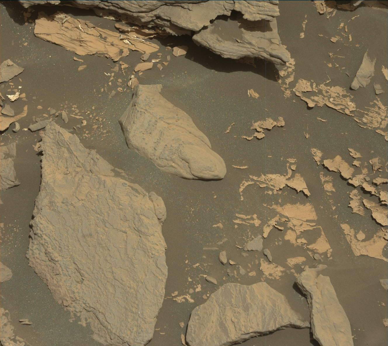 Nasa's Mars rover Curiosity acquired this image using its Mast Camera (Mastcam) on Sol 1714