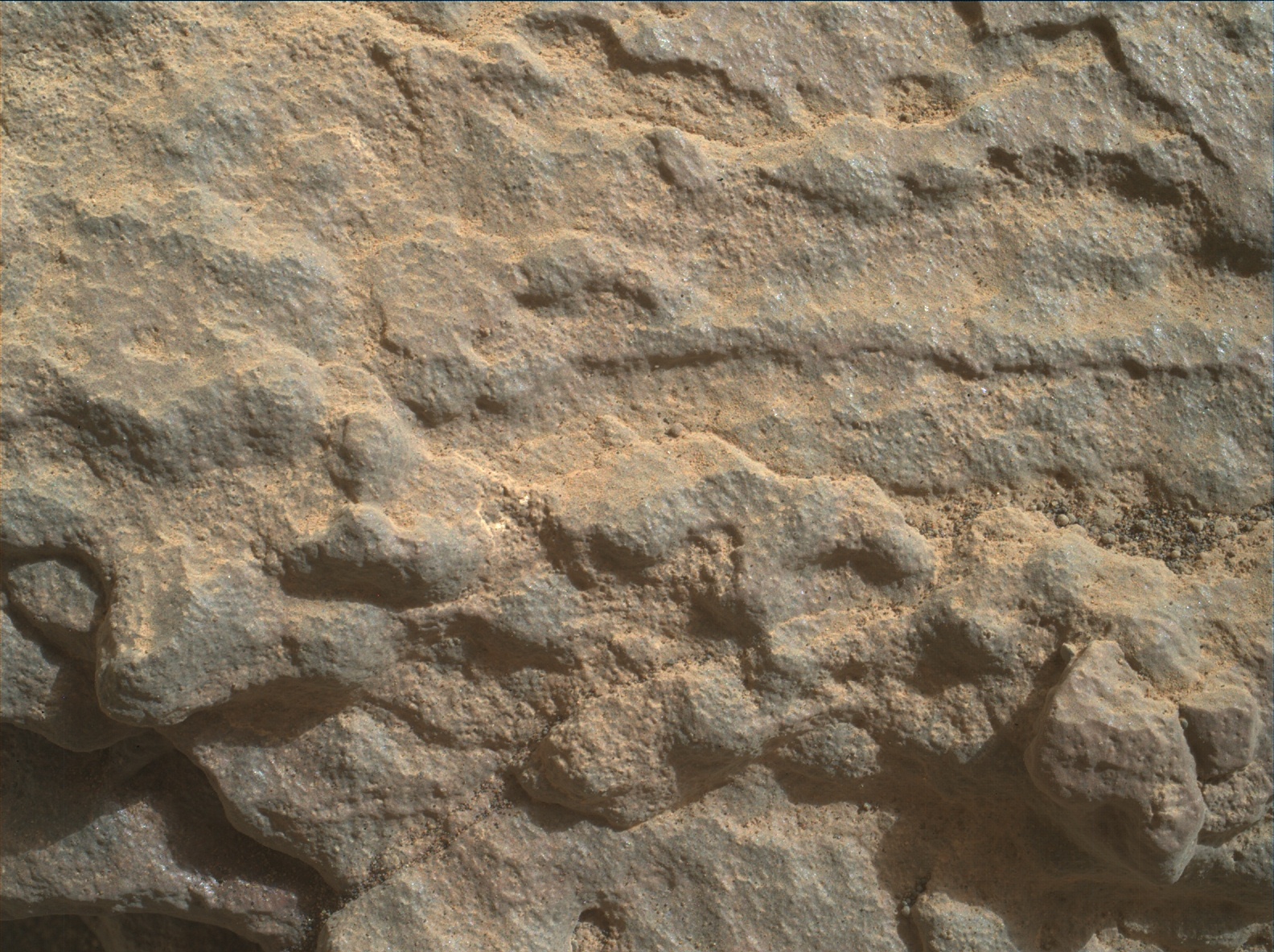 Nasa's Mars rover Curiosity acquired this image using its Mars Hand Lens Imager (MAHLI) on Sol 1714