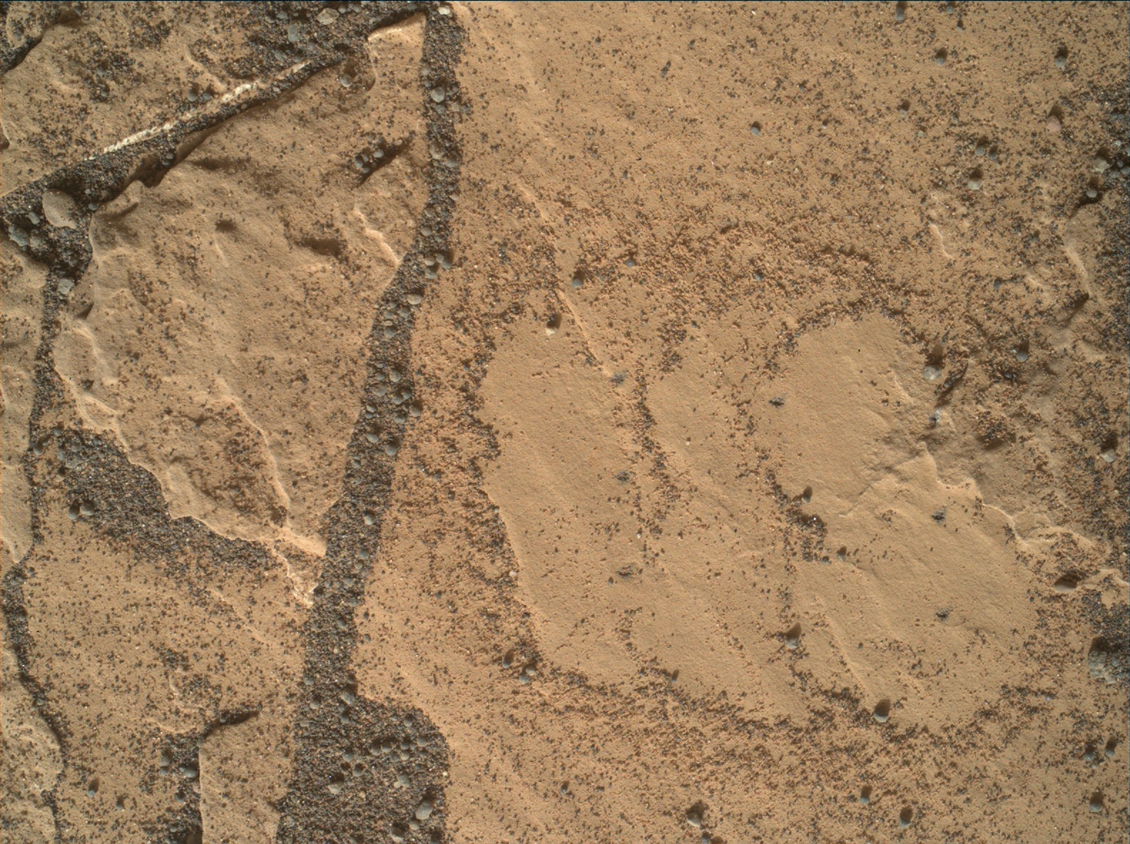 Nasa's Mars rover Curiosity acquired this image using its Mars Hand Lens Imager (MAHLI) on Sol 1716