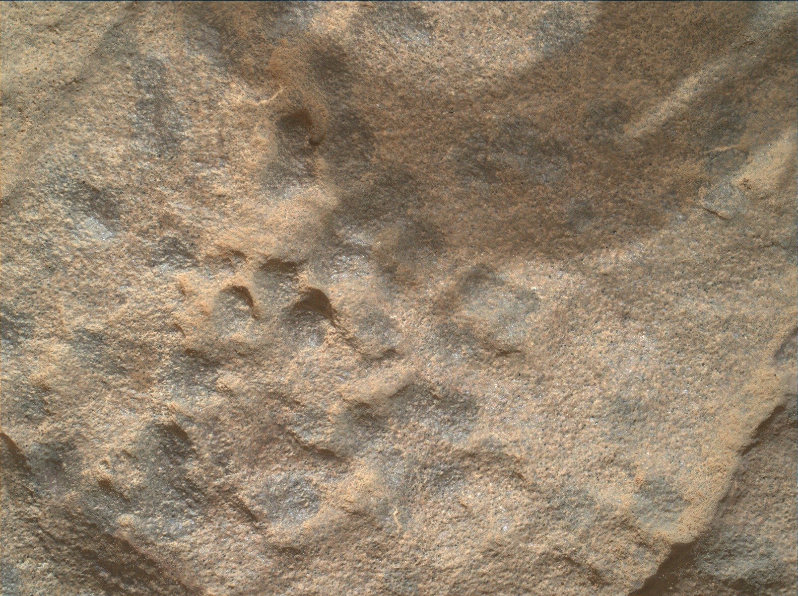 Nasa's Mars rover Curiosity acquired this image using its Mars Hand Lens Imager (MAHLI) on Sol 1716