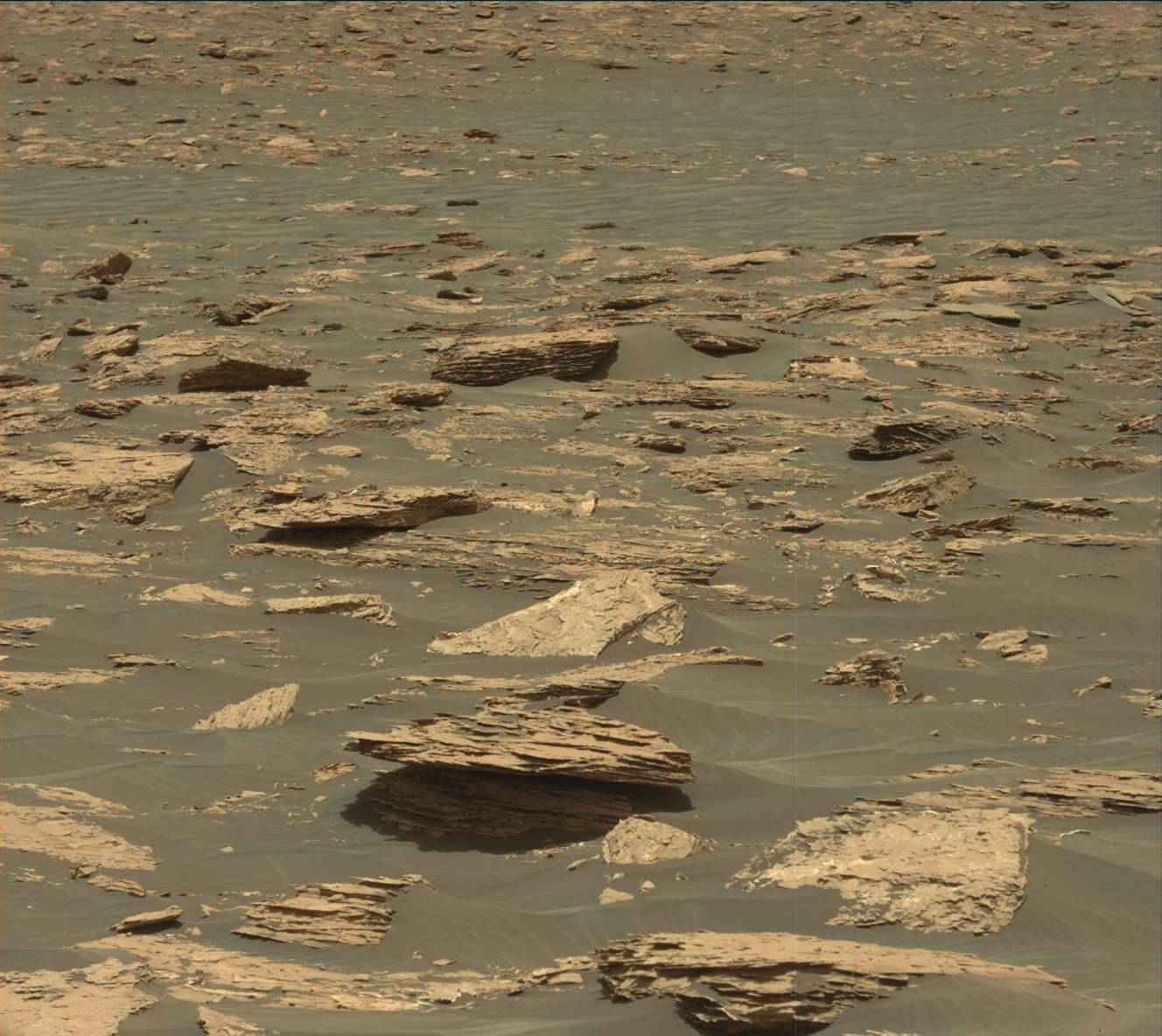Nasa's Mars rover Curiosity acquired this image using its Mast Camera (Mastcam) on Sol 1724