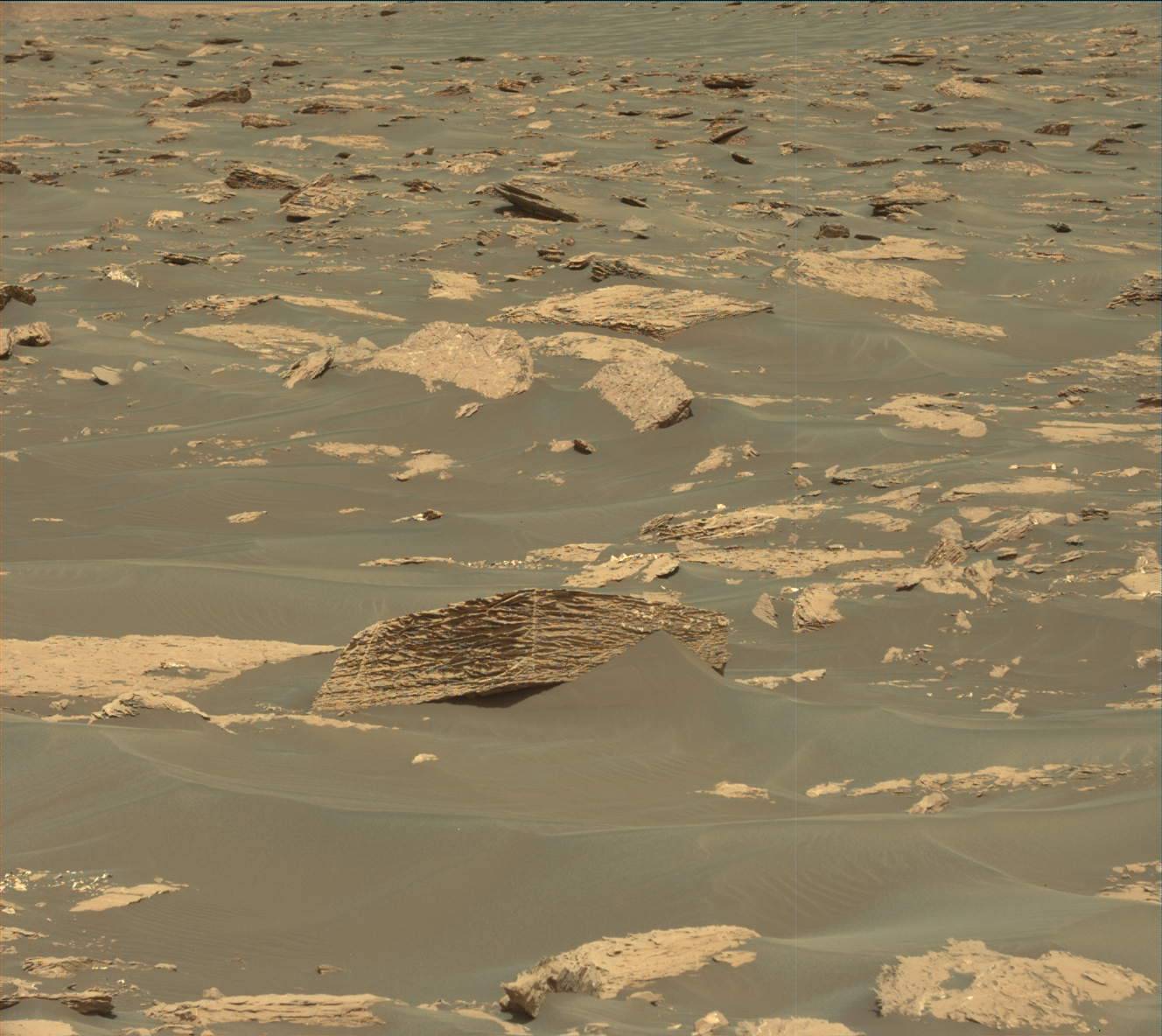 Nasa's Mars rover Curiosity acquired this image using its Mast Camera (Mastcam) on Sol 1726