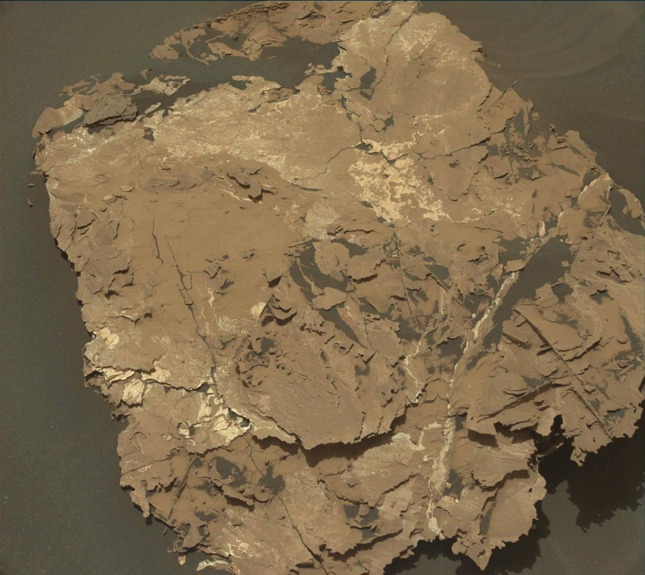 Nasa's Mars rover Curiosity acquired this image using its Mast Camera (Mastcam) on Sol 1728