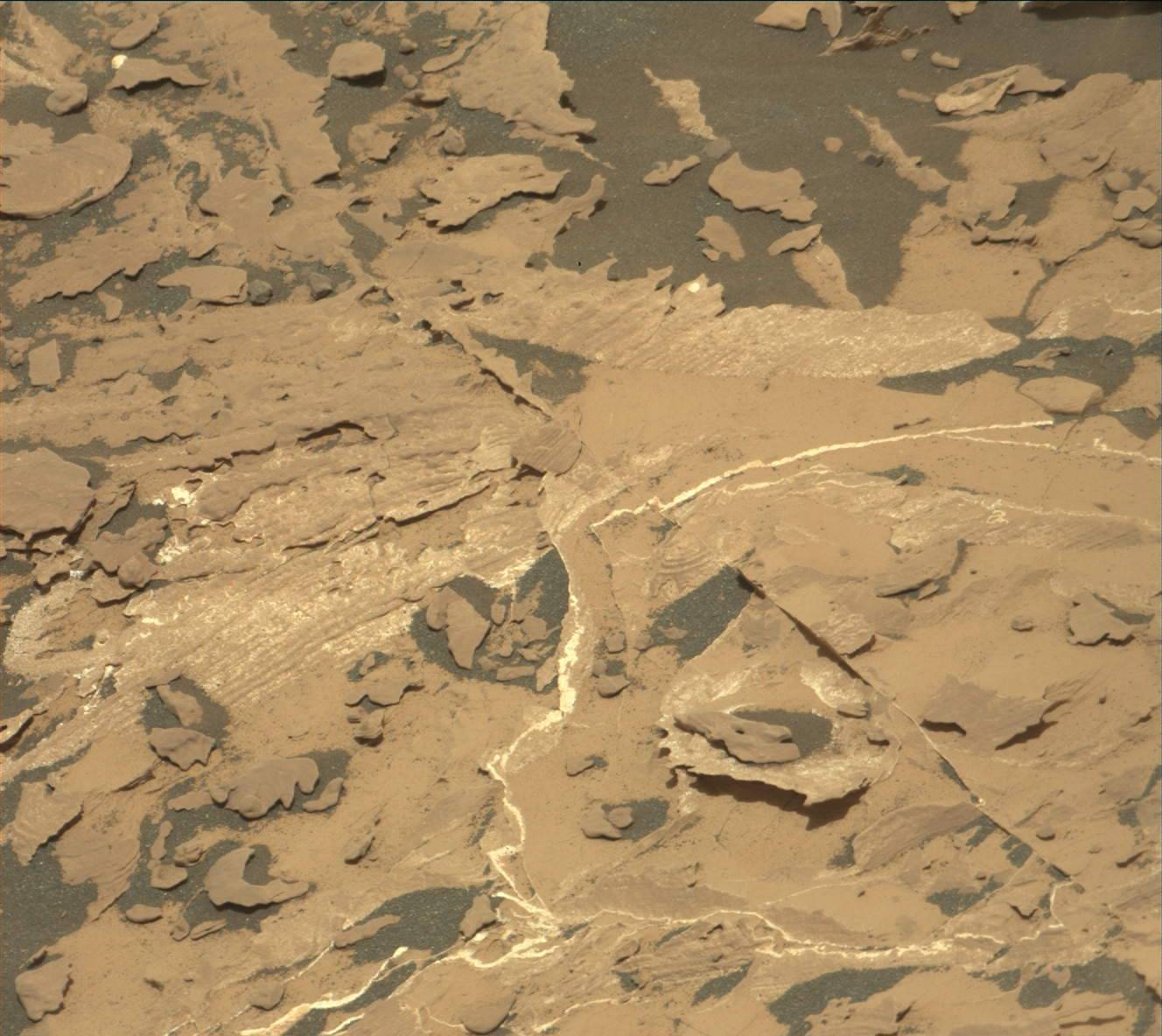 Nasa's Mars rover Curiosity acquired this image using its Mast Camera (Mastcam) on Sol 1728