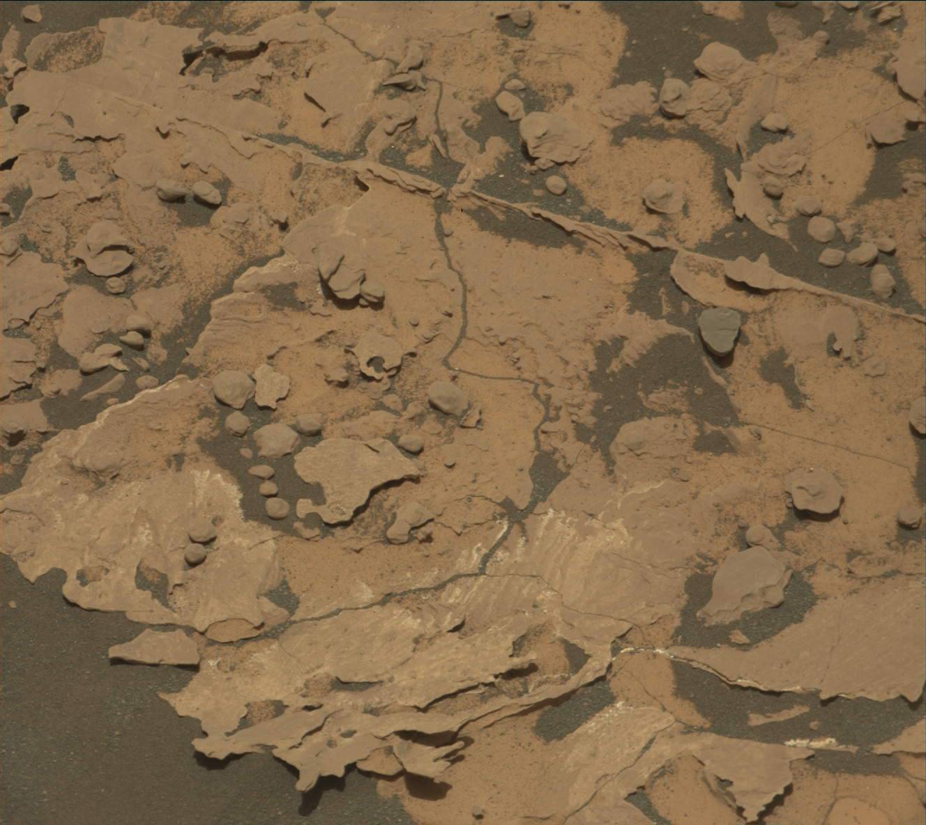 Nasa's Mars rover Curiosity acquired this image using its Mast Camera (Mastcam) on Sol 1729