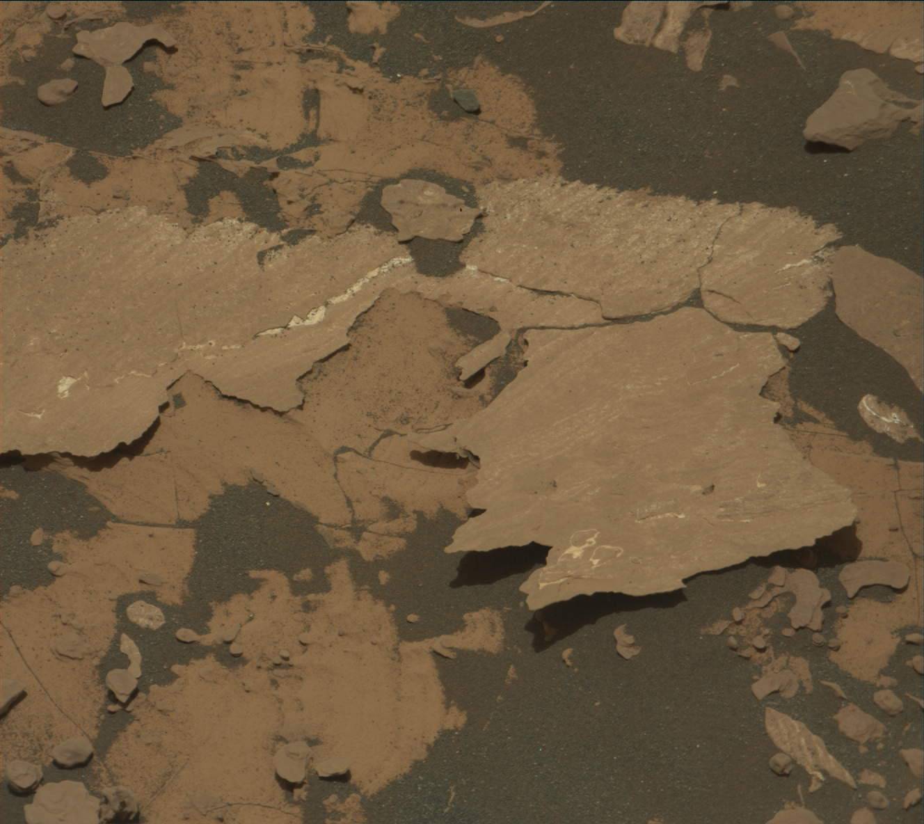 Nasa's Mars rover Curiosity acquired this image using its Mast Camera (Mastcam) on Sol 1729